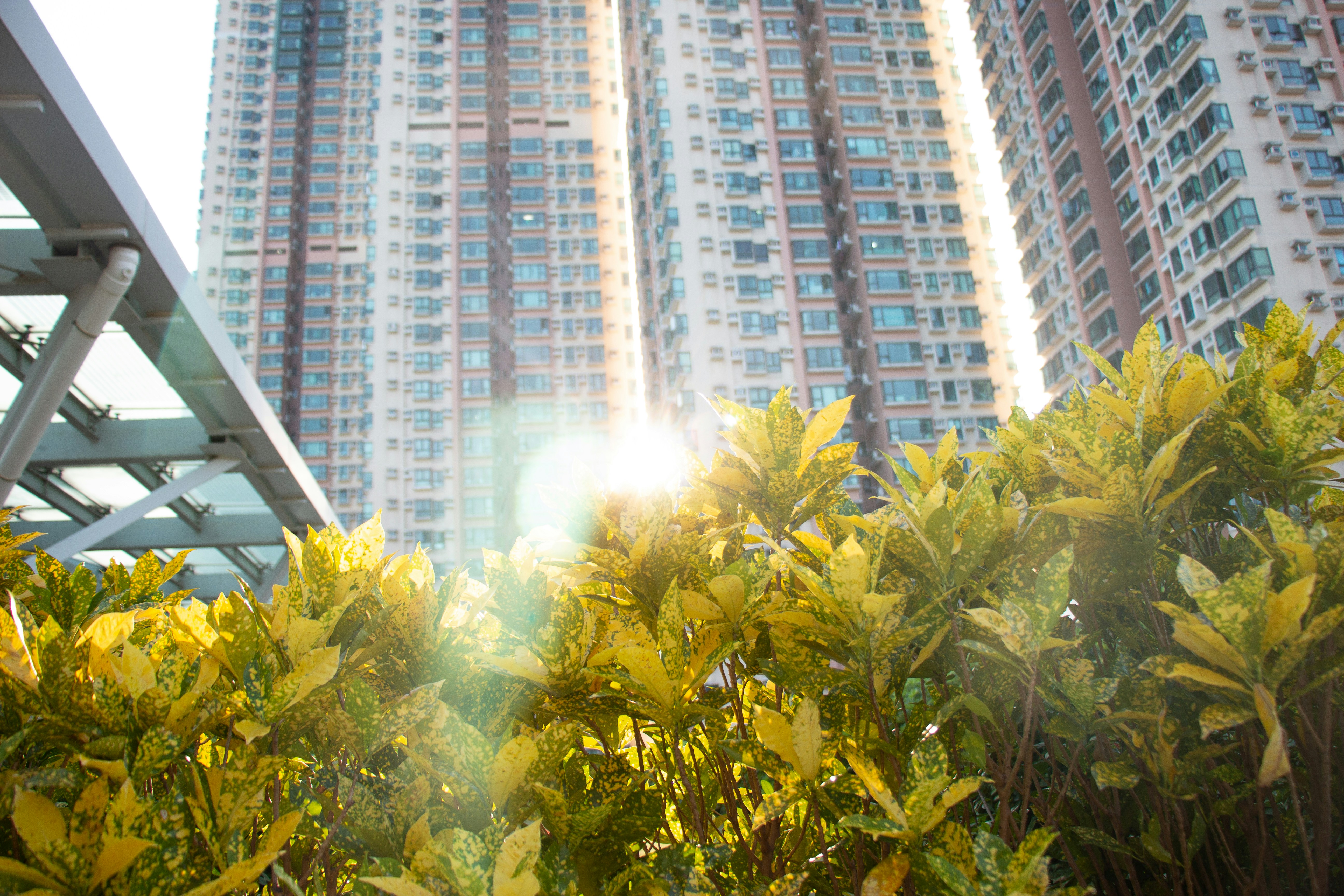 Photo by shreyaantech