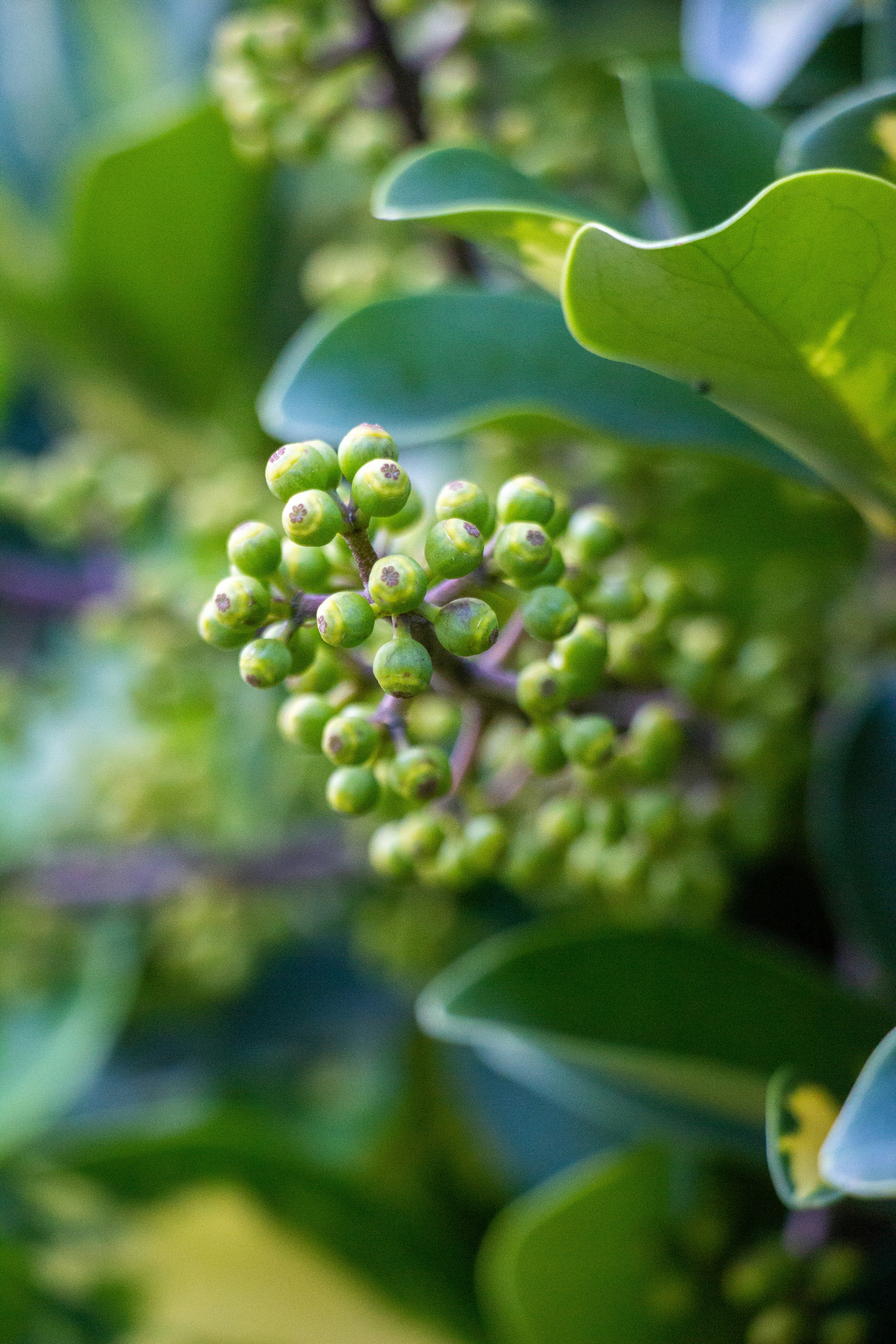 Photo by shreyaantech