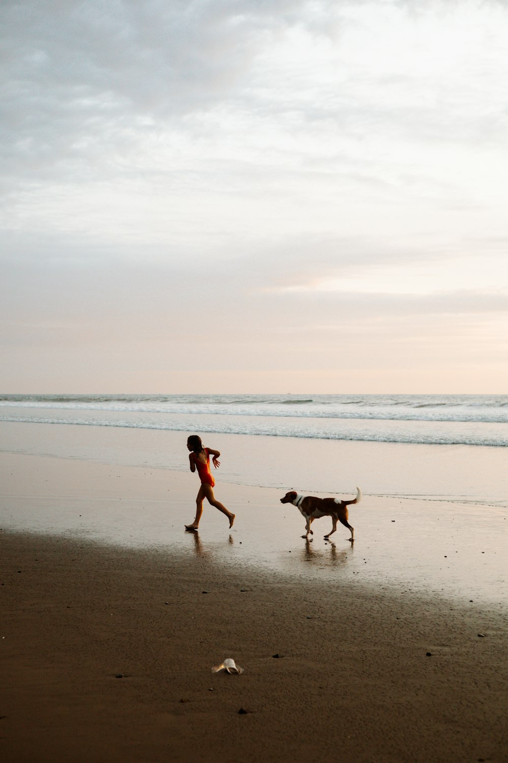 a boy and a dog on a beach