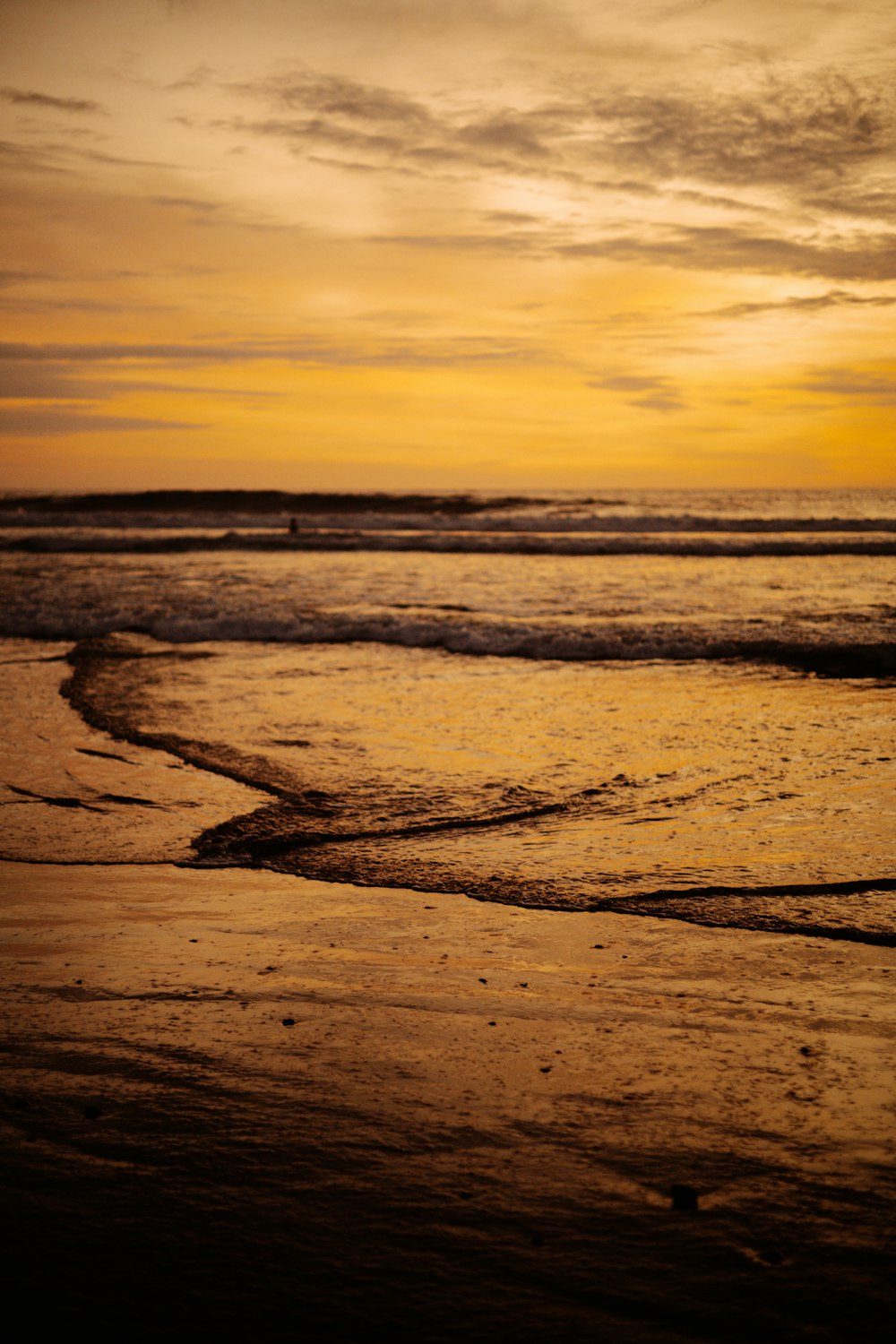 a beach with a body of water