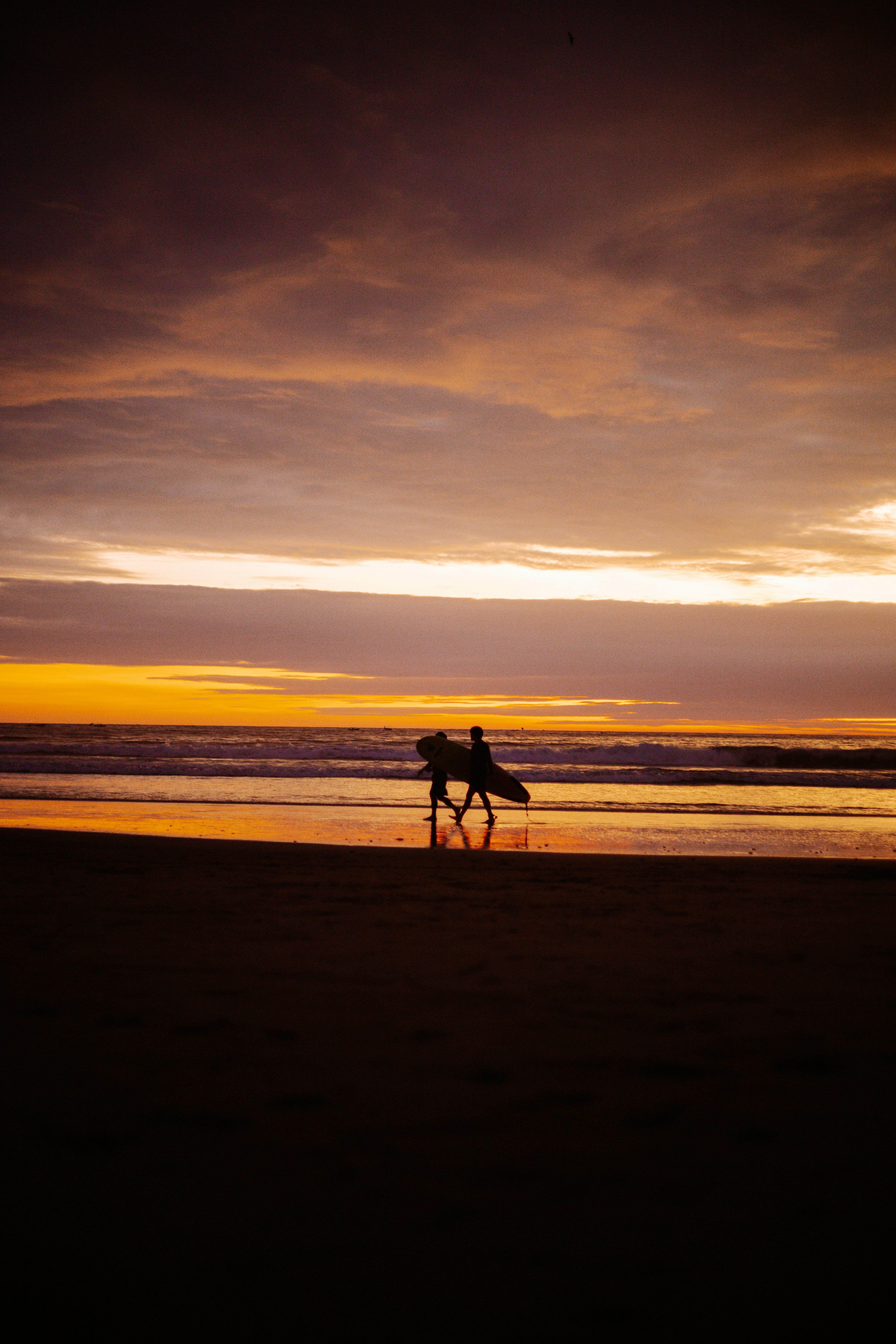 Une personne se promène avec un chien sur la plage