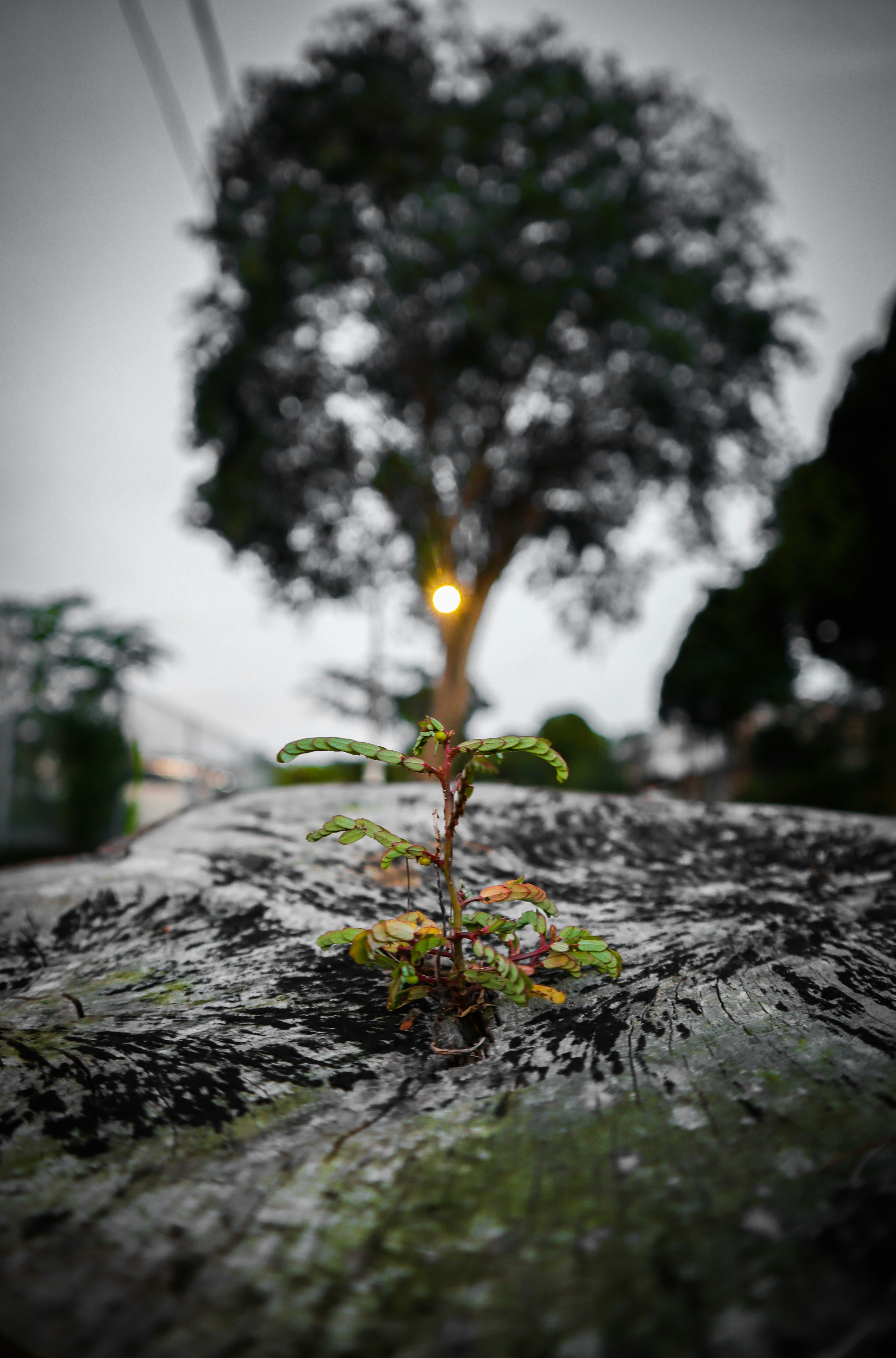 Photo by tehyewkiatout