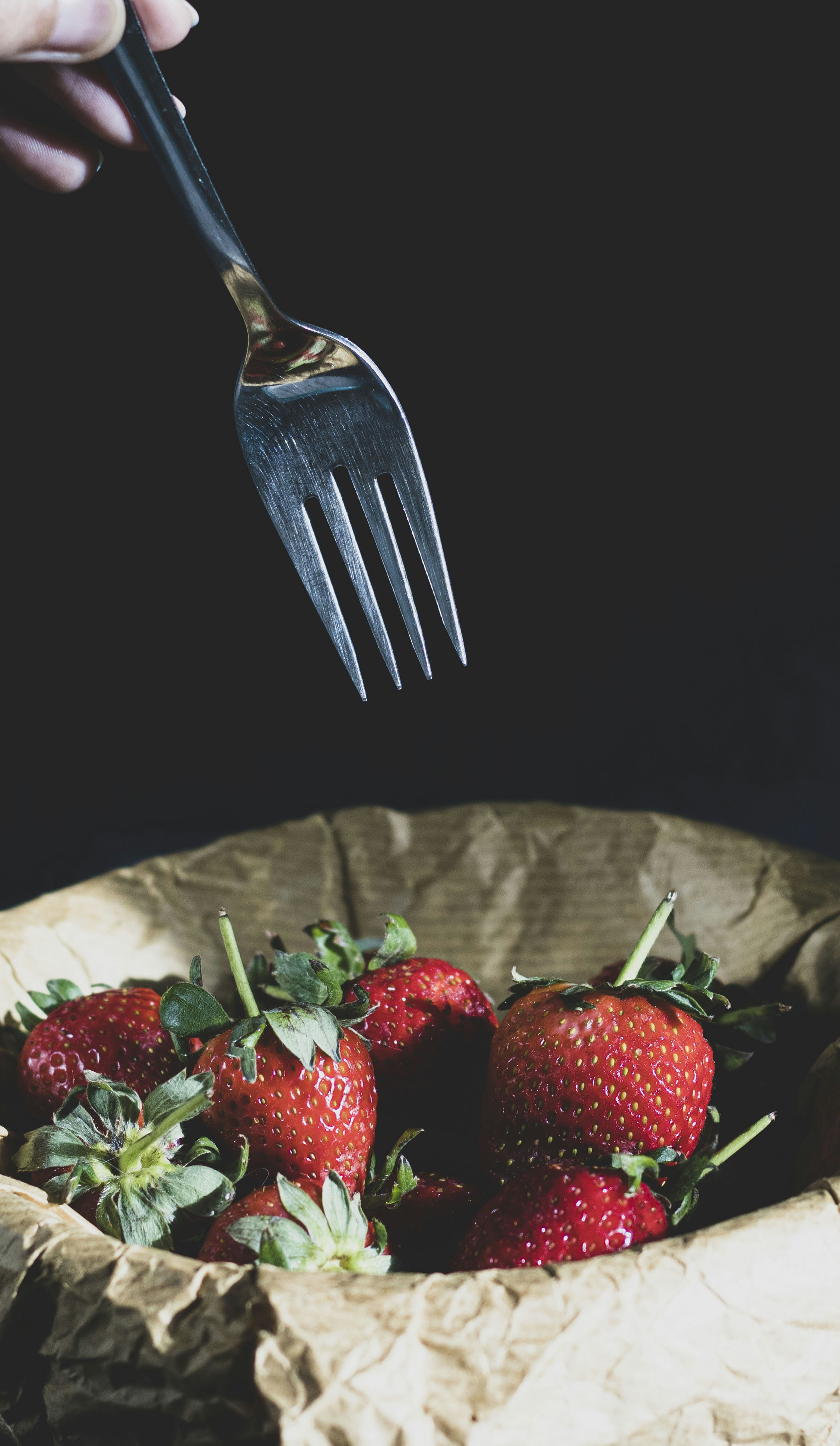 Photo by fatemeh_photography