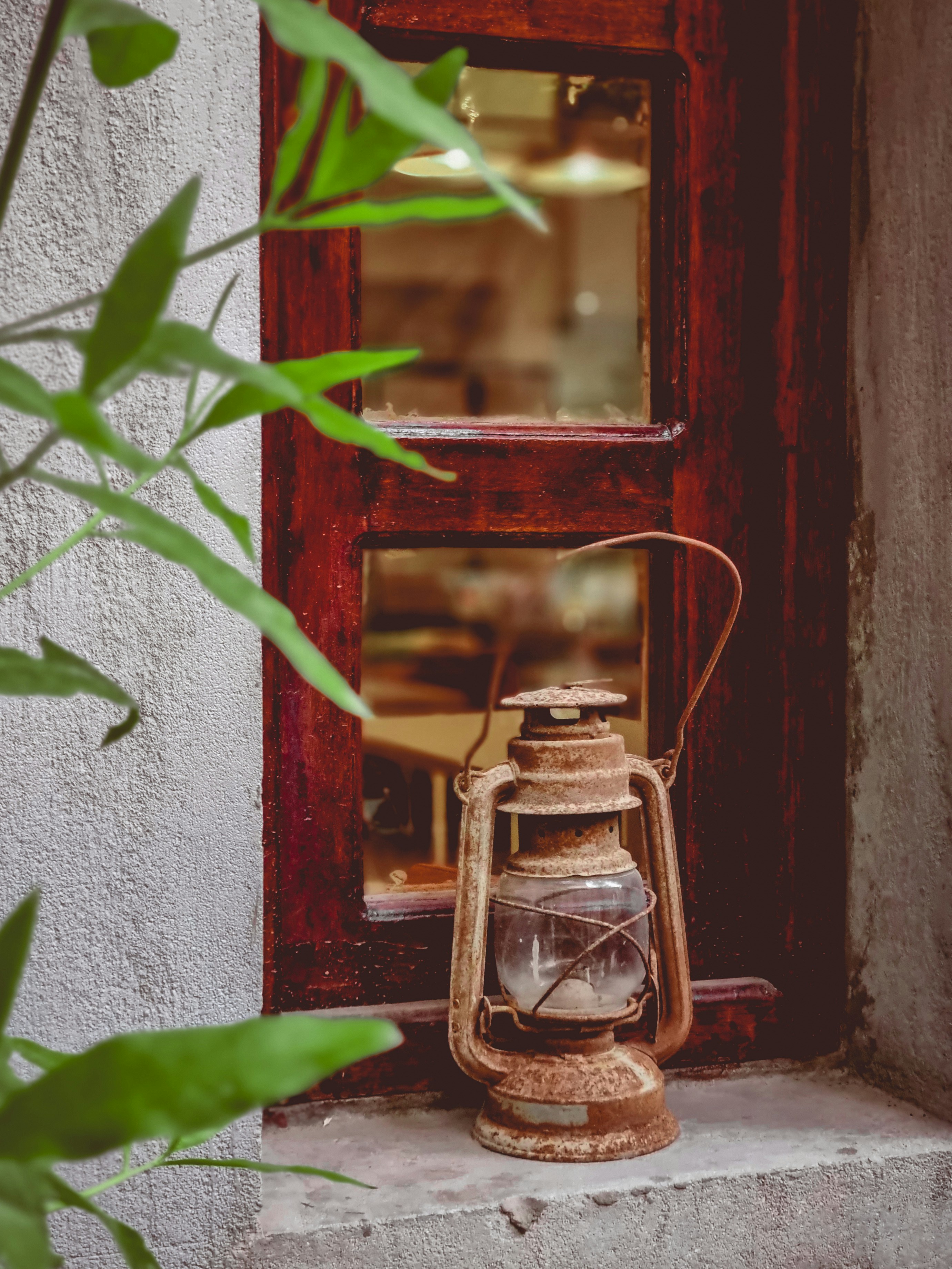 A glass jar with a plant inside photo Free Dubai united arab