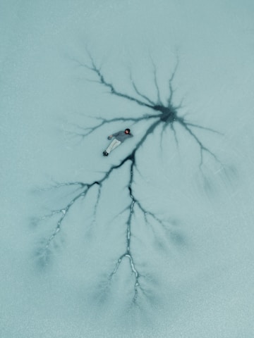 a drawing of a spider