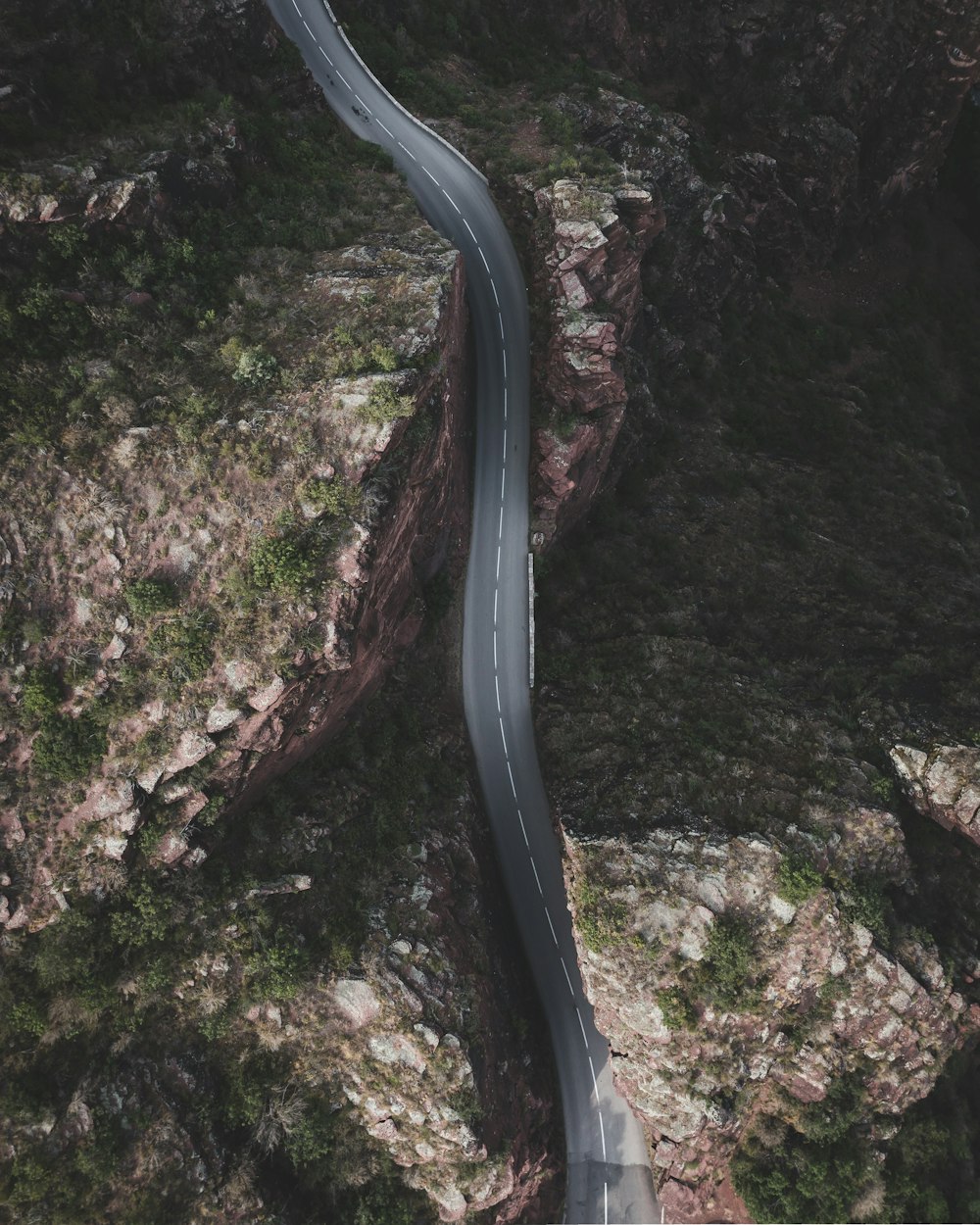 uma estrada sinuosa na floresta