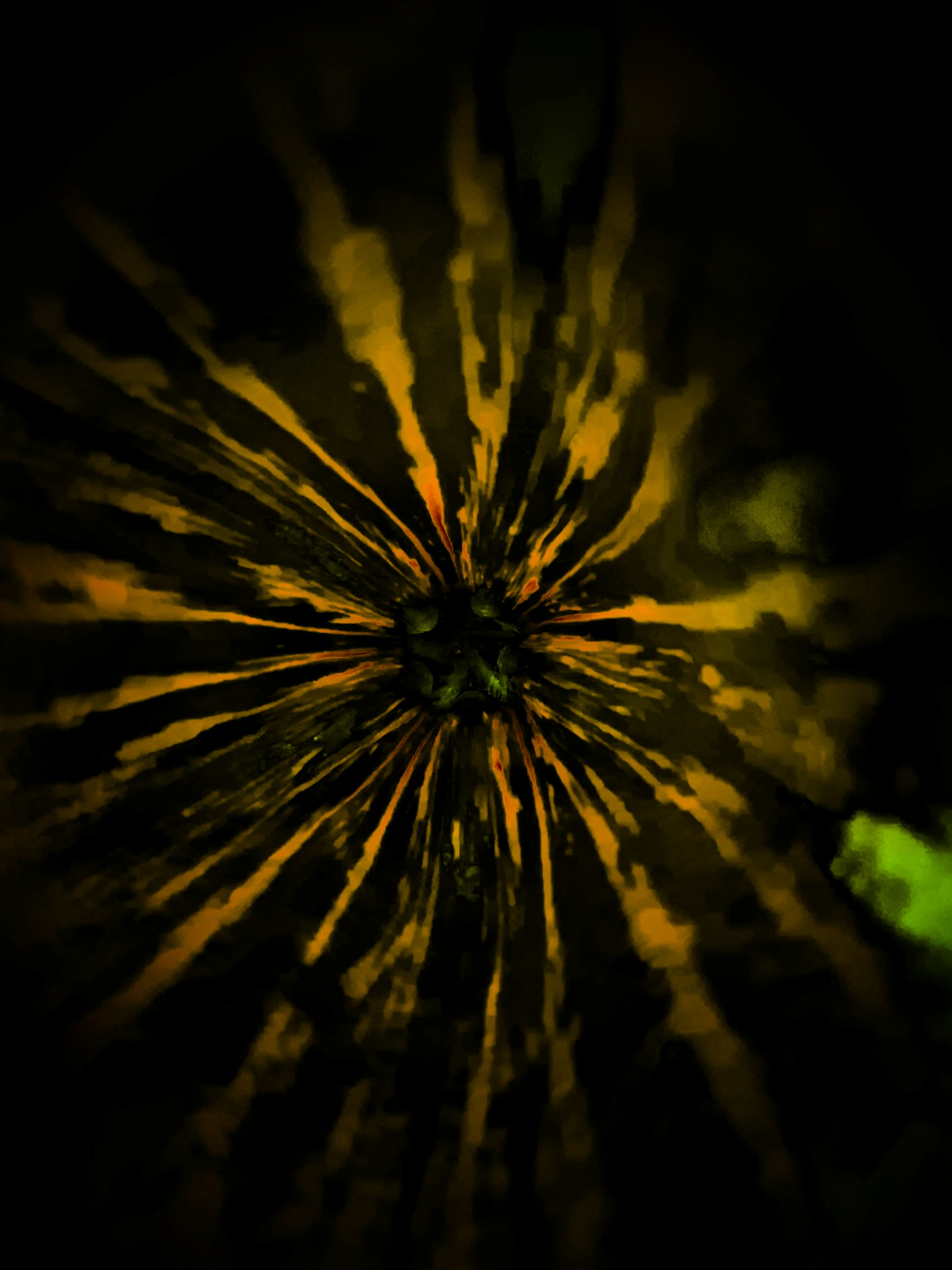 Photo by a_stupid_creator