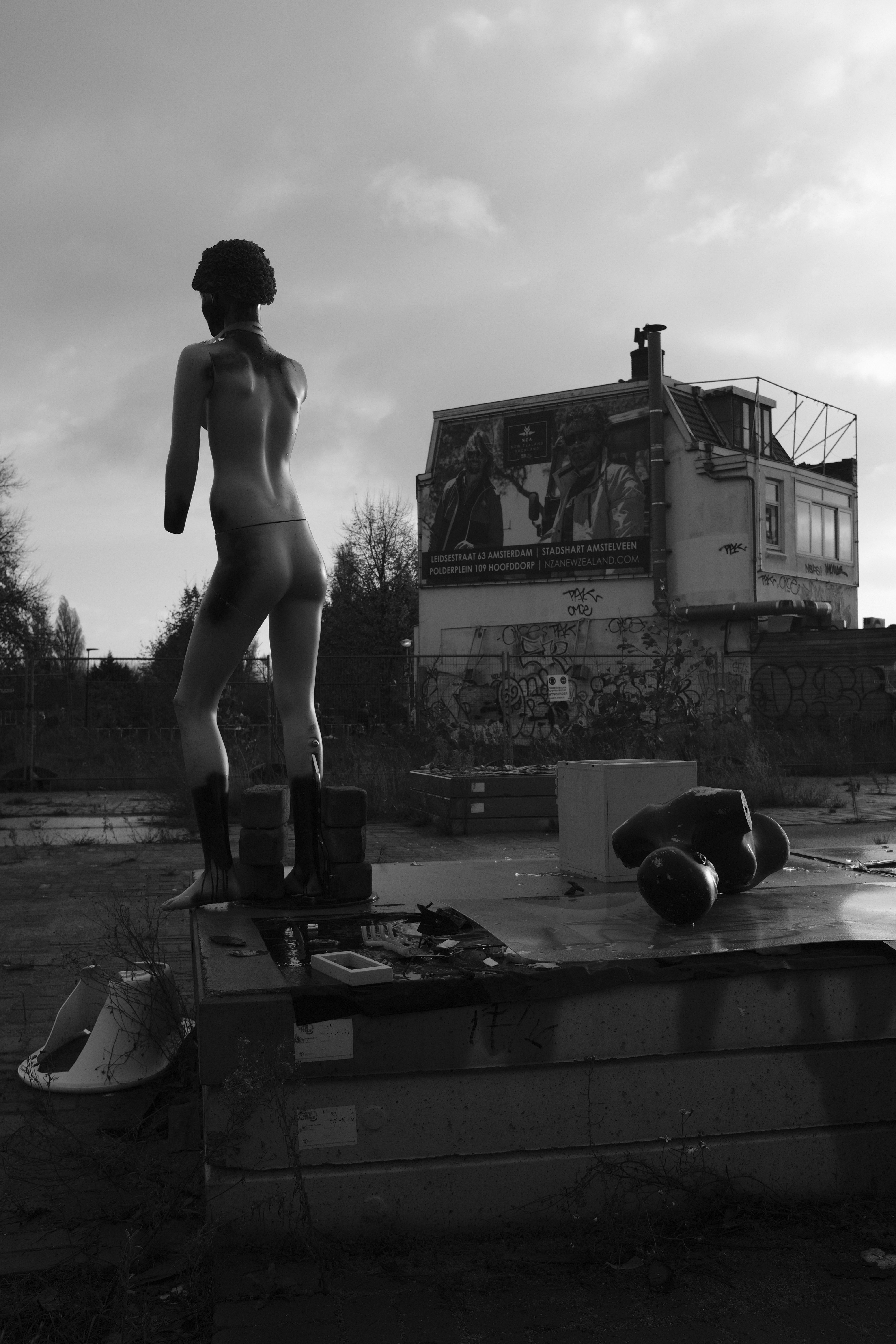 Photo by szudi