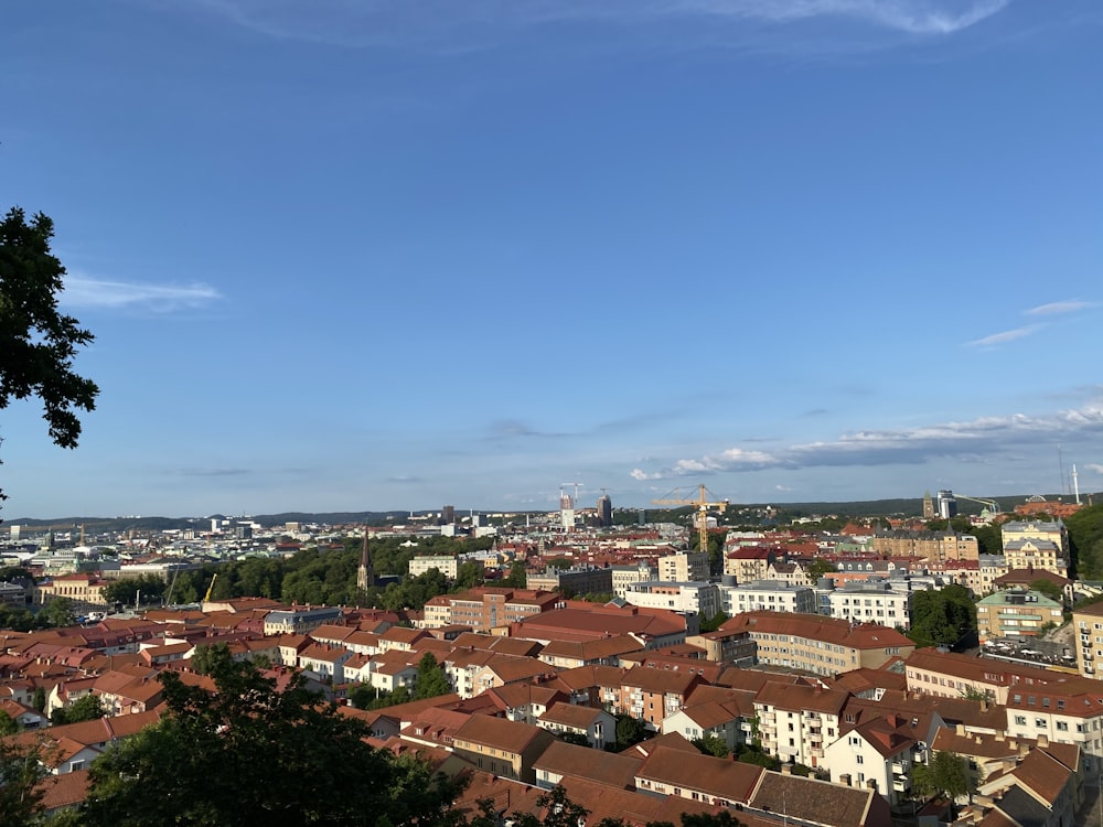 a city with many buildings