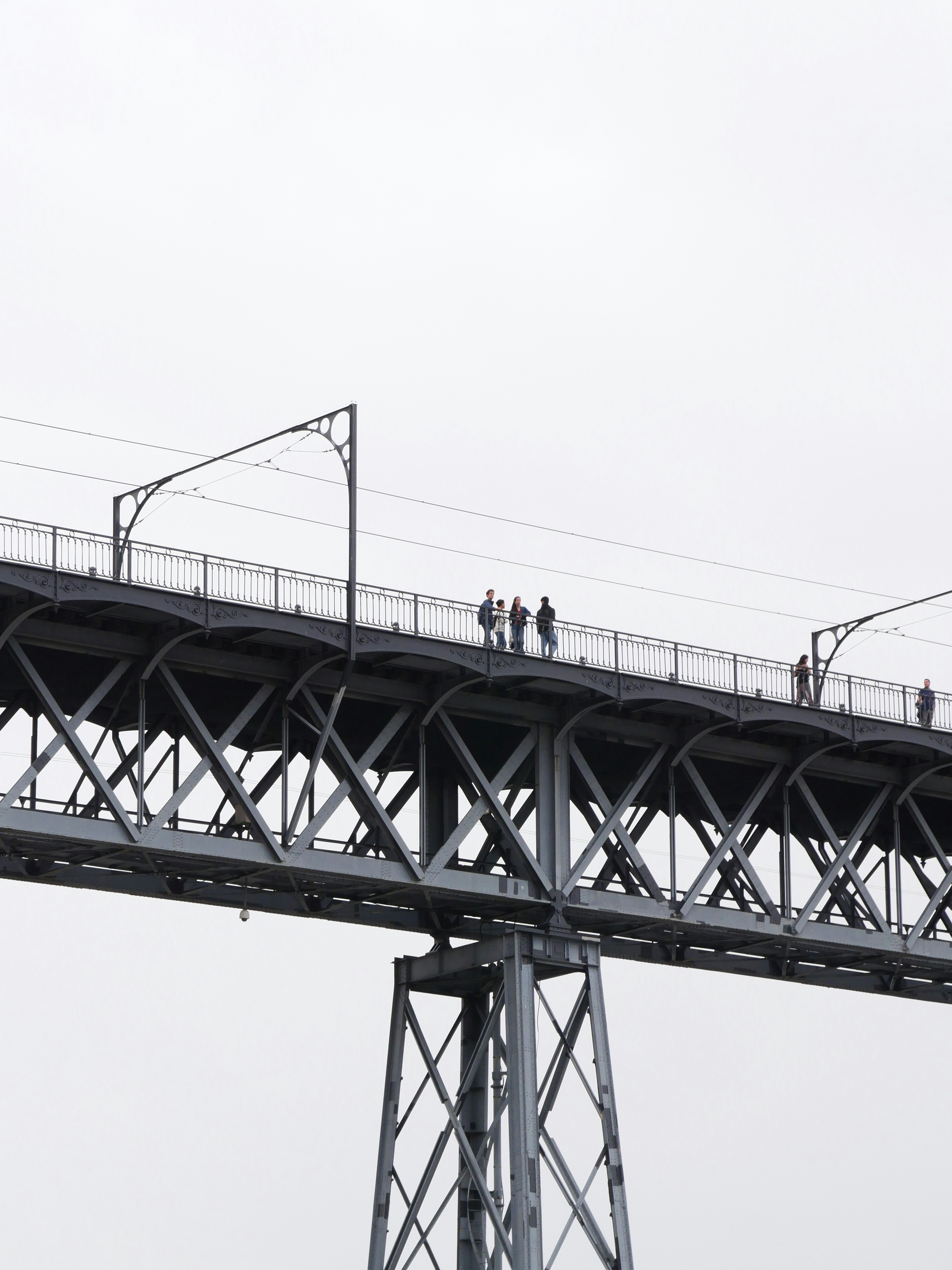 Photo by nimbus_vulpis