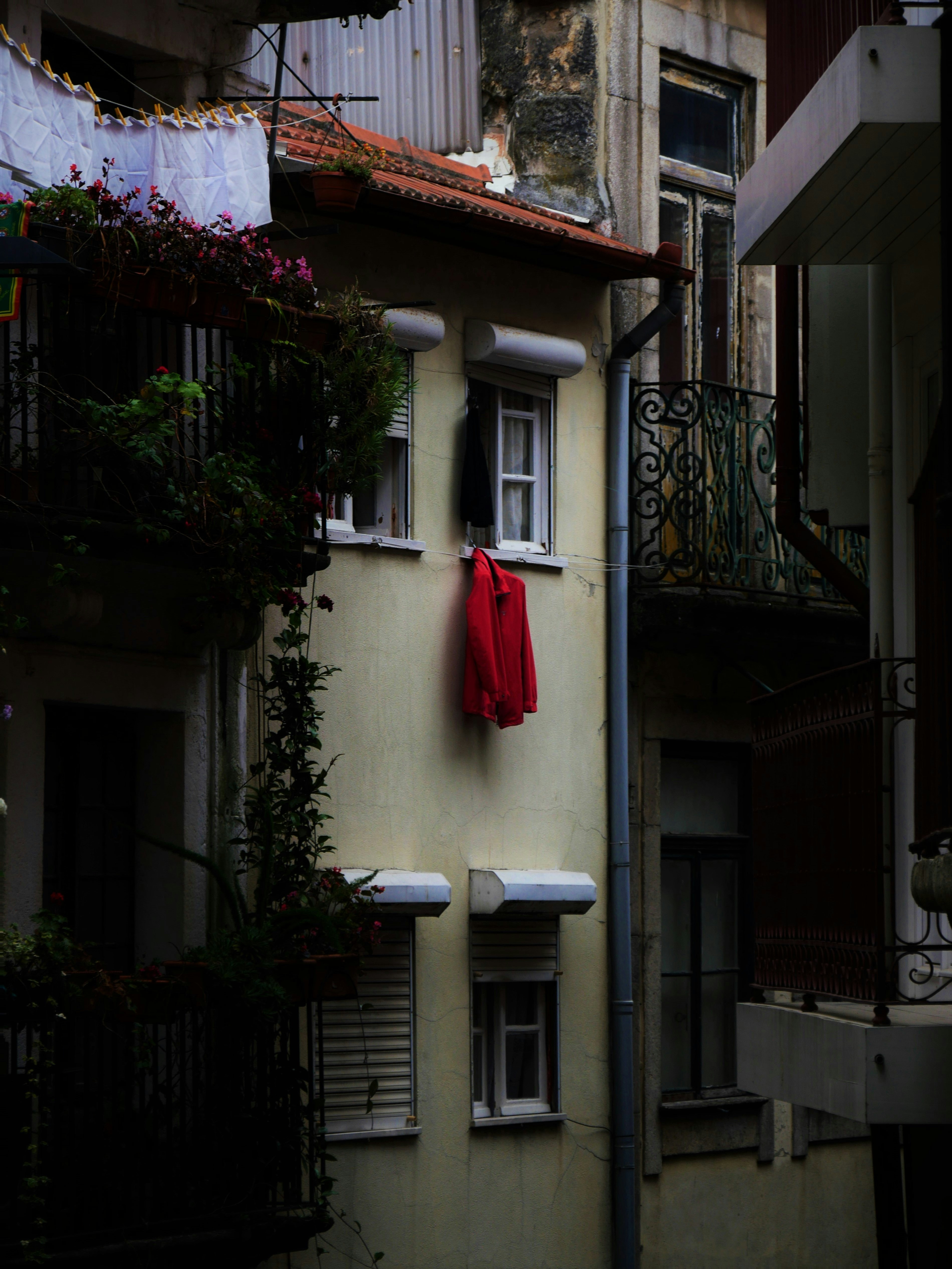 a row of buildings with balconies and plants on the windows