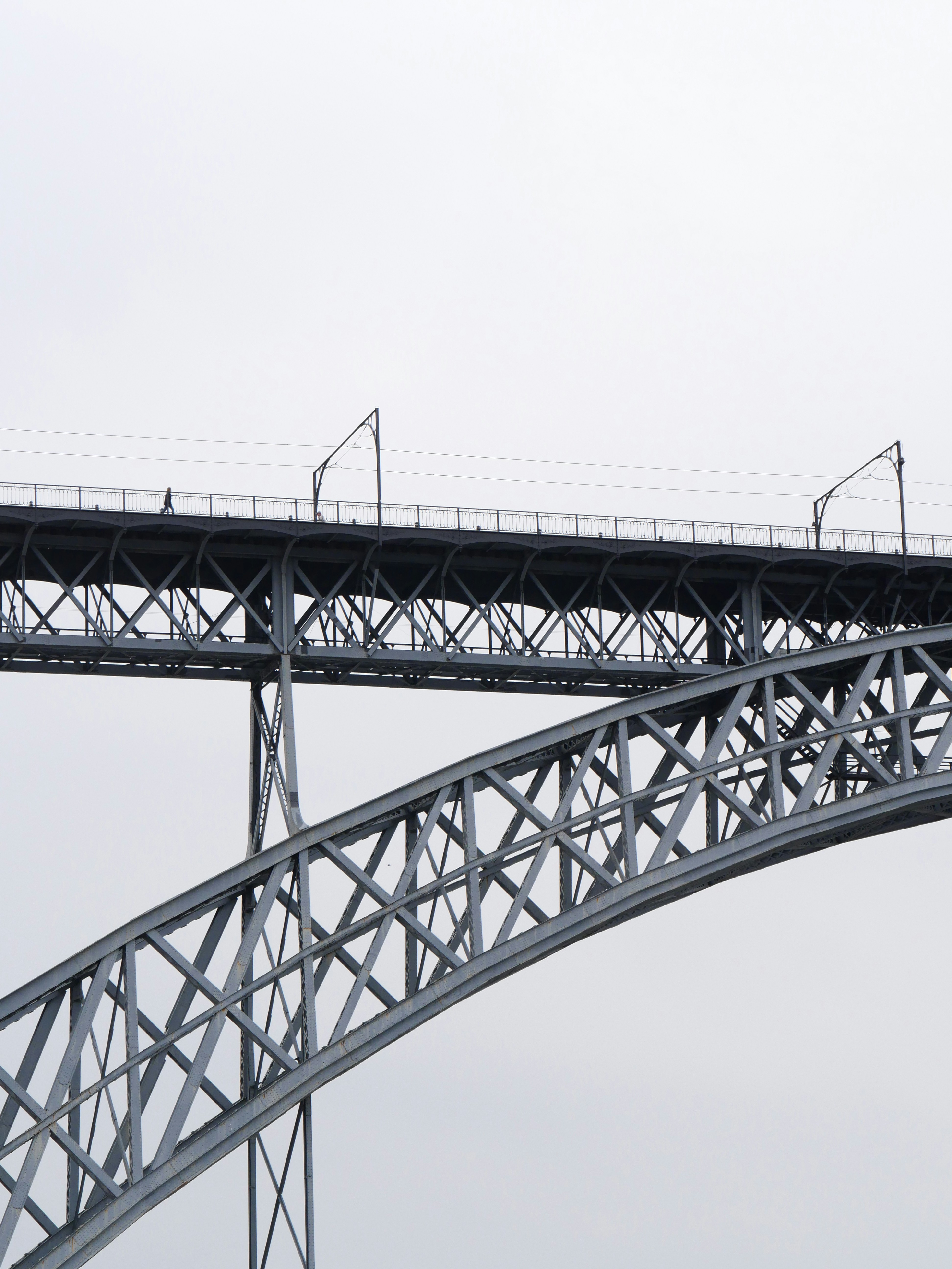 Photo by nimbus_vulpis