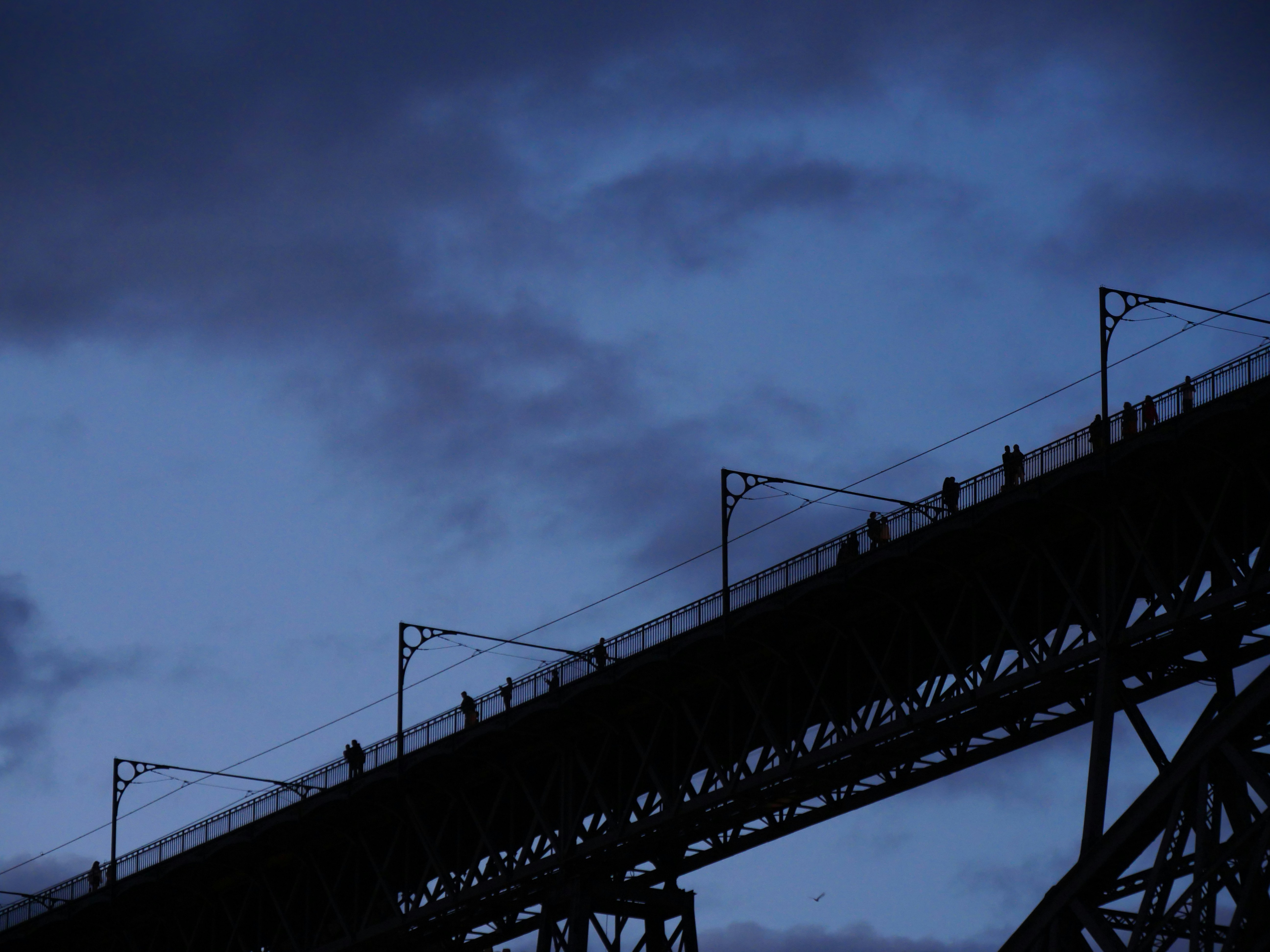 Photo by nimbus_vulpis