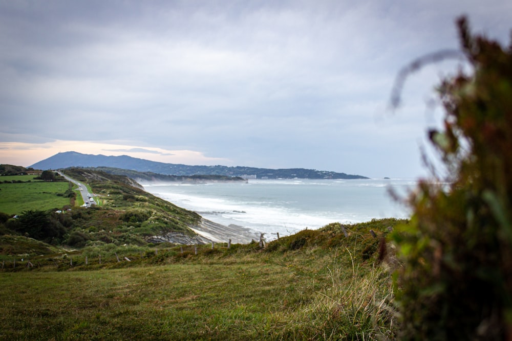 a grassy area with a body of water in the background