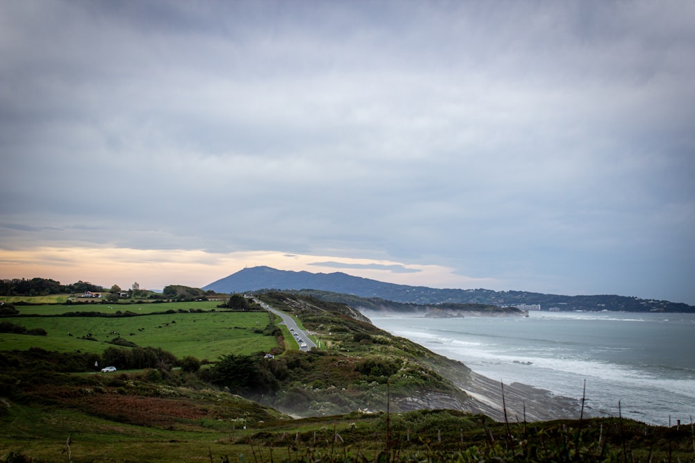 a beach with grass and a body of water