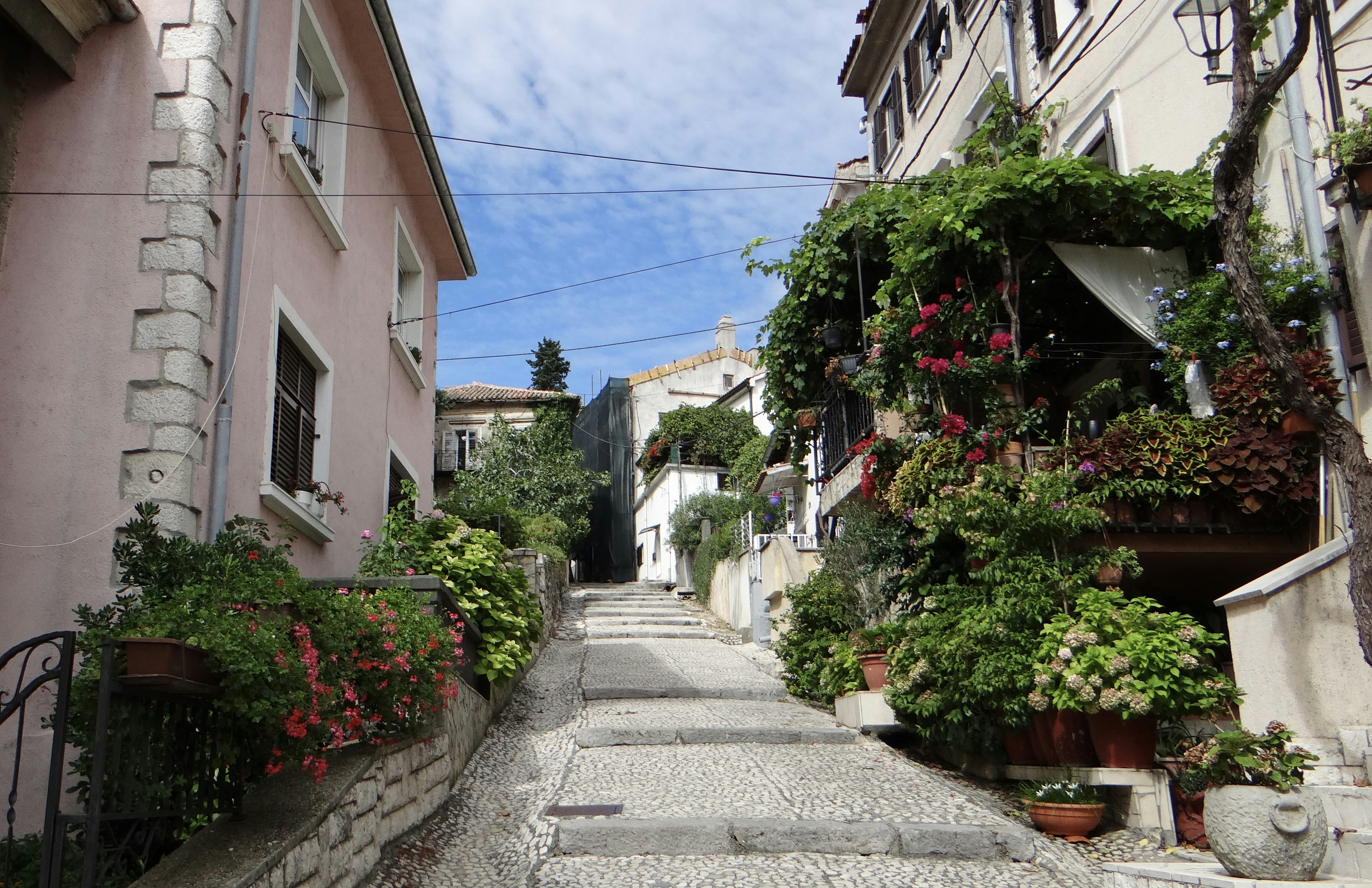 a street with buildings and plants on the side