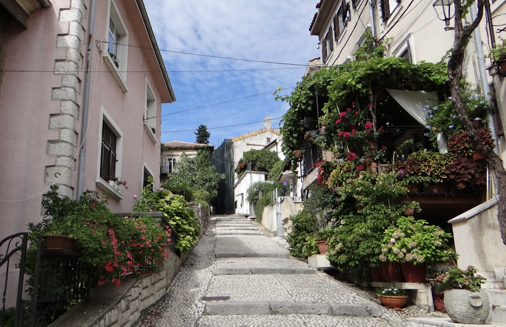 a street with buildings and plants on the side