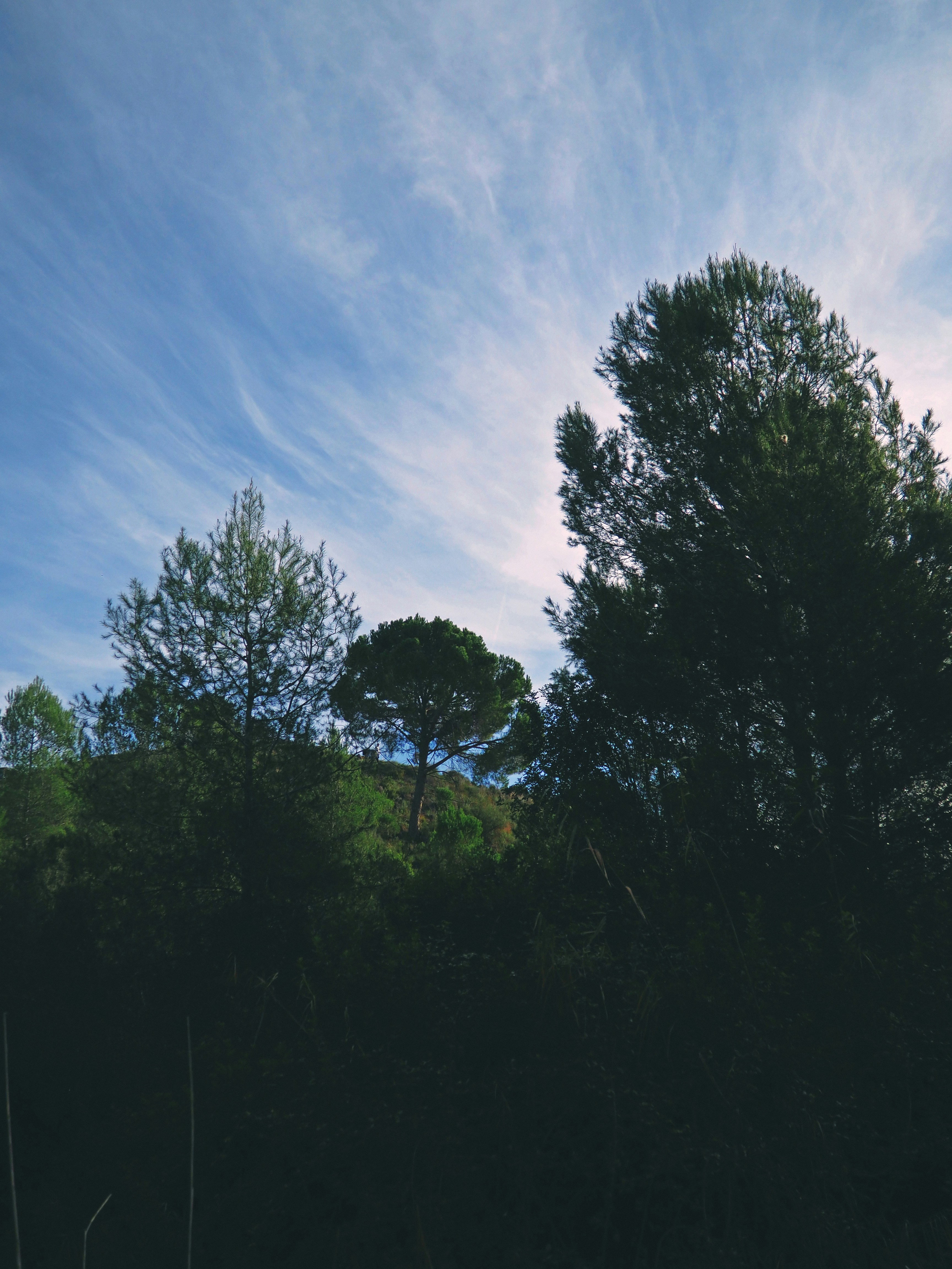 Photo by el_morillas
