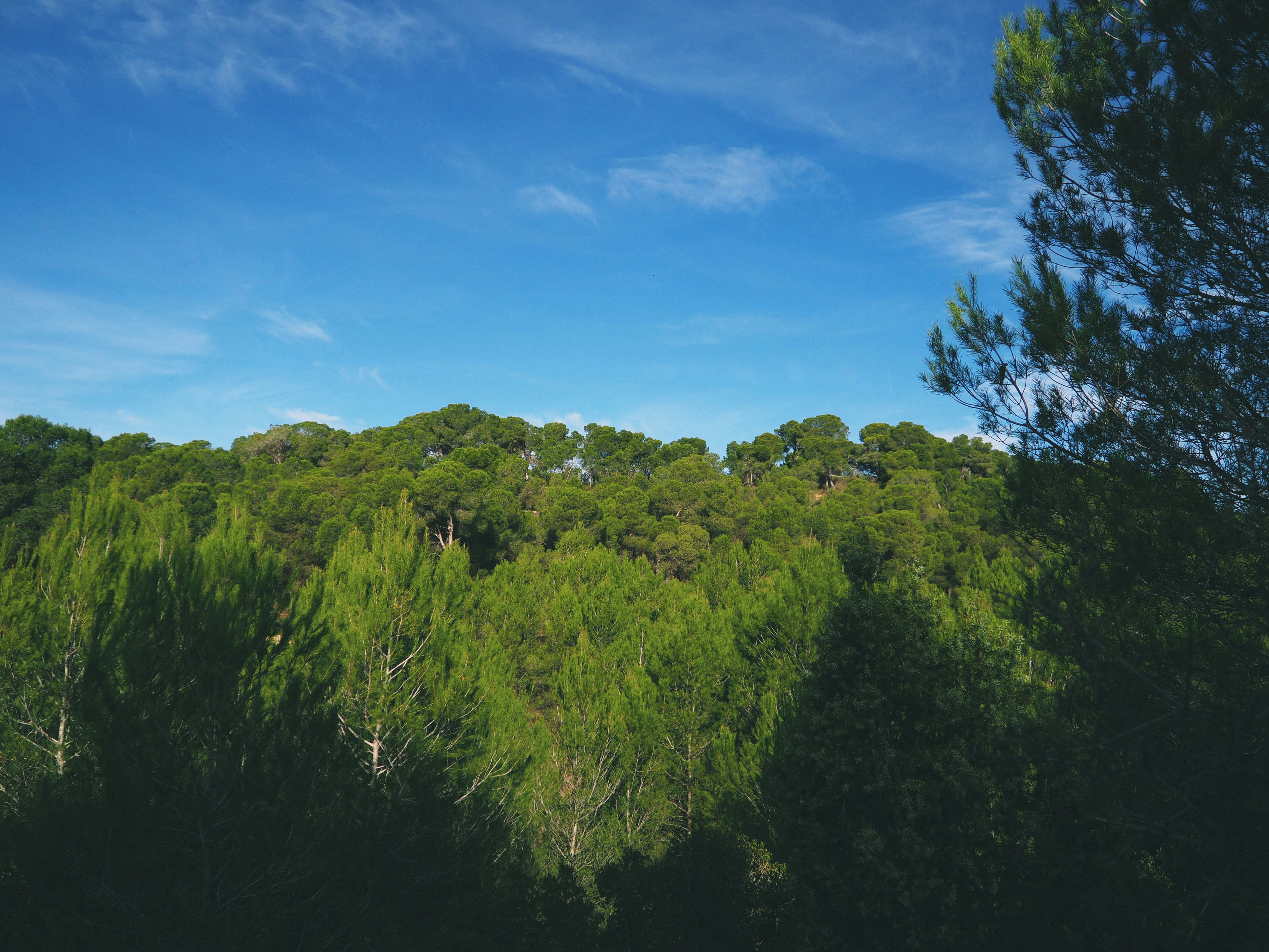 Photo by el_morillas