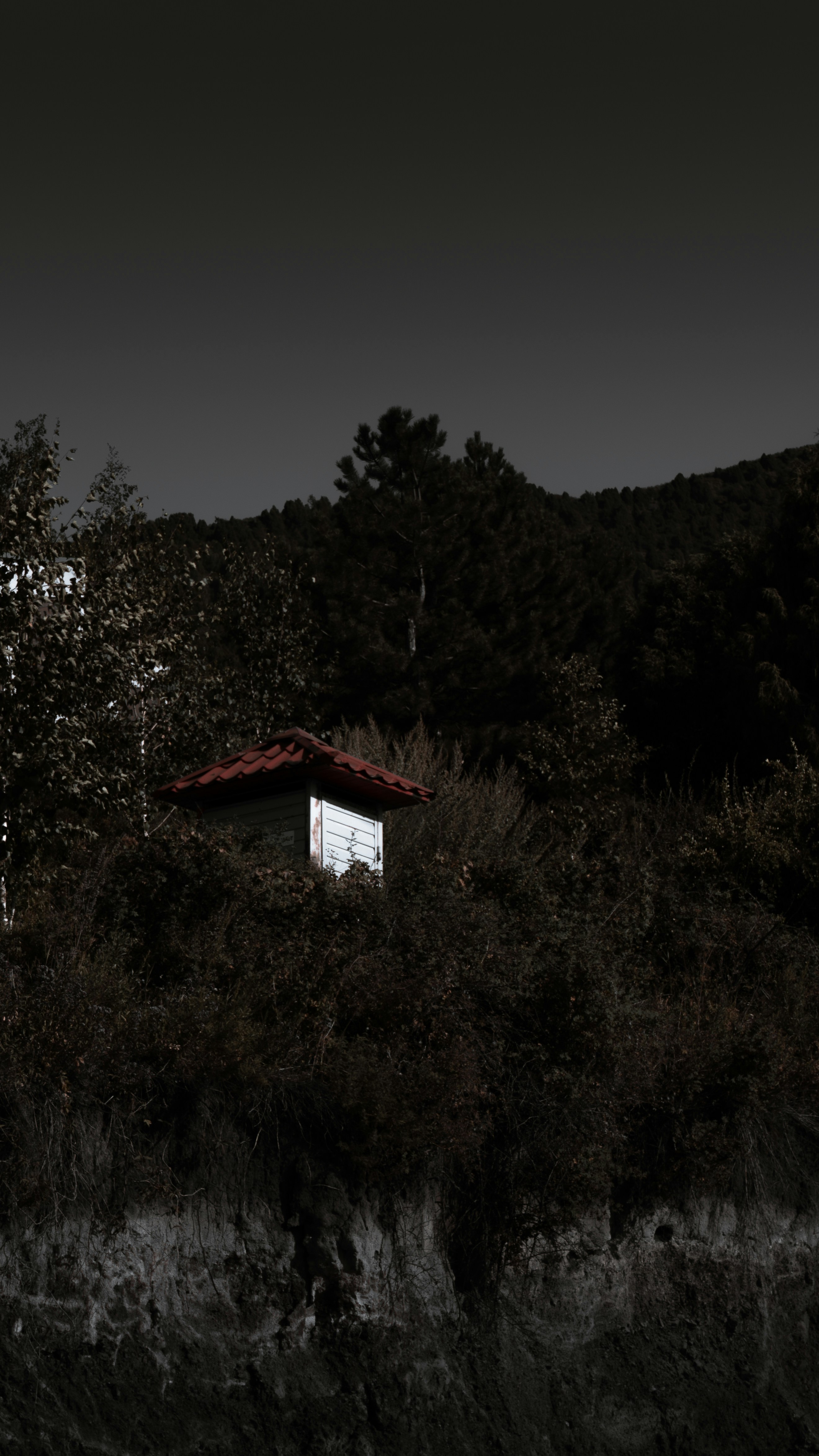 Photo by nabakirov