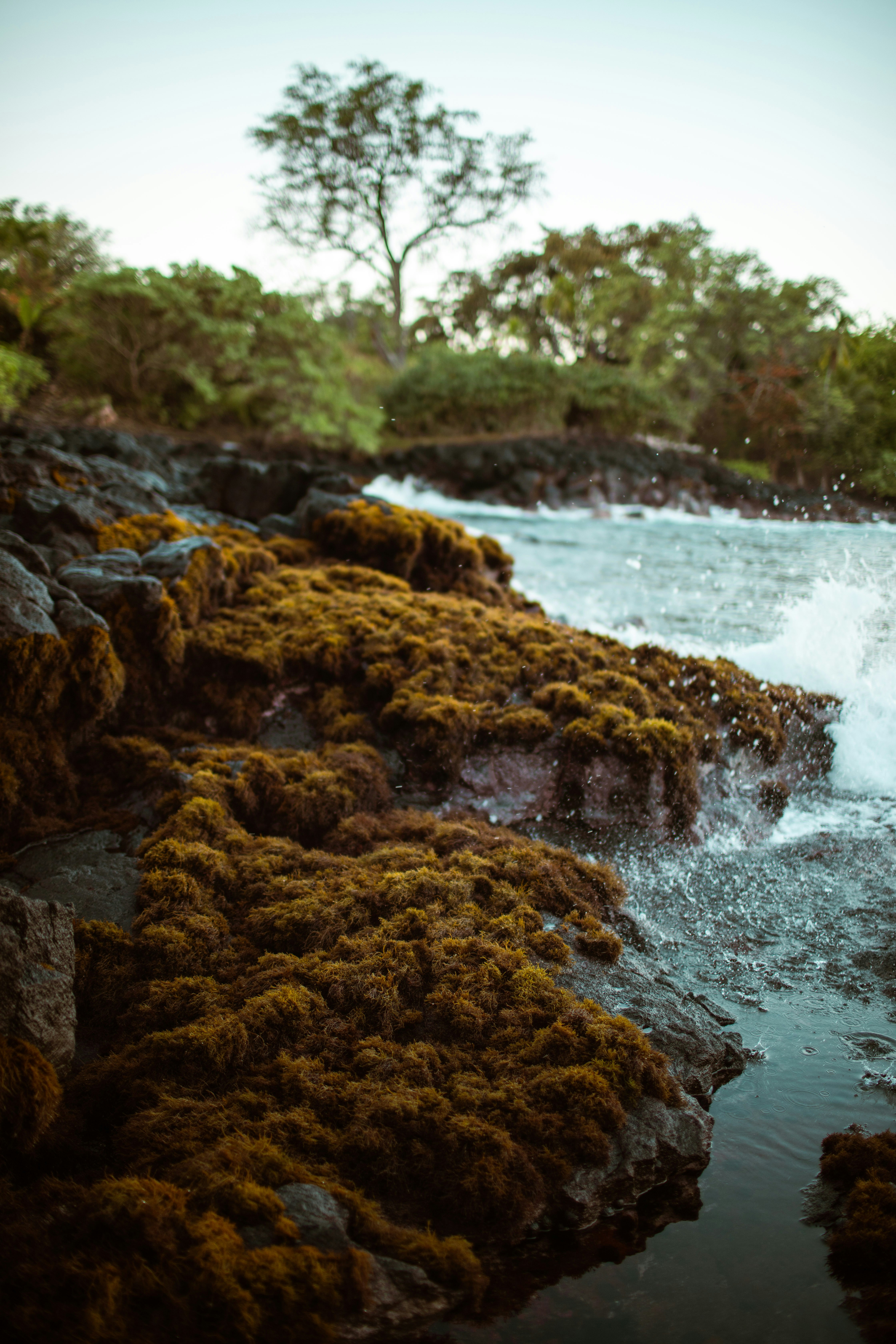 Photo by benjamin_deyoung