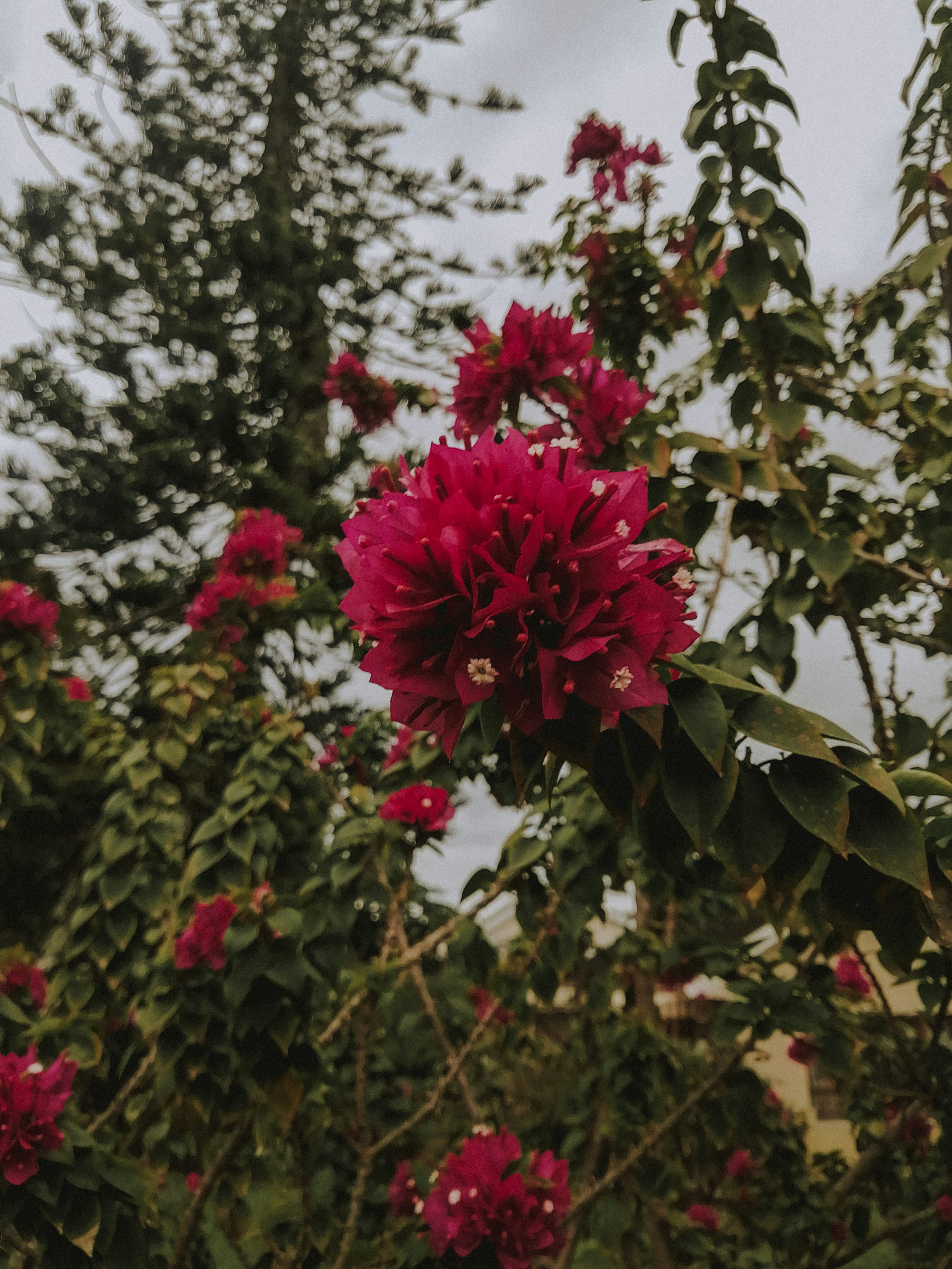 Photo by sonflower_23
