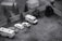 Several miniature vehicles, including vans and cars, are parked on a small gravel lot surrounded by trees and a fence. Small model figures are seen interacting around the vehicles.