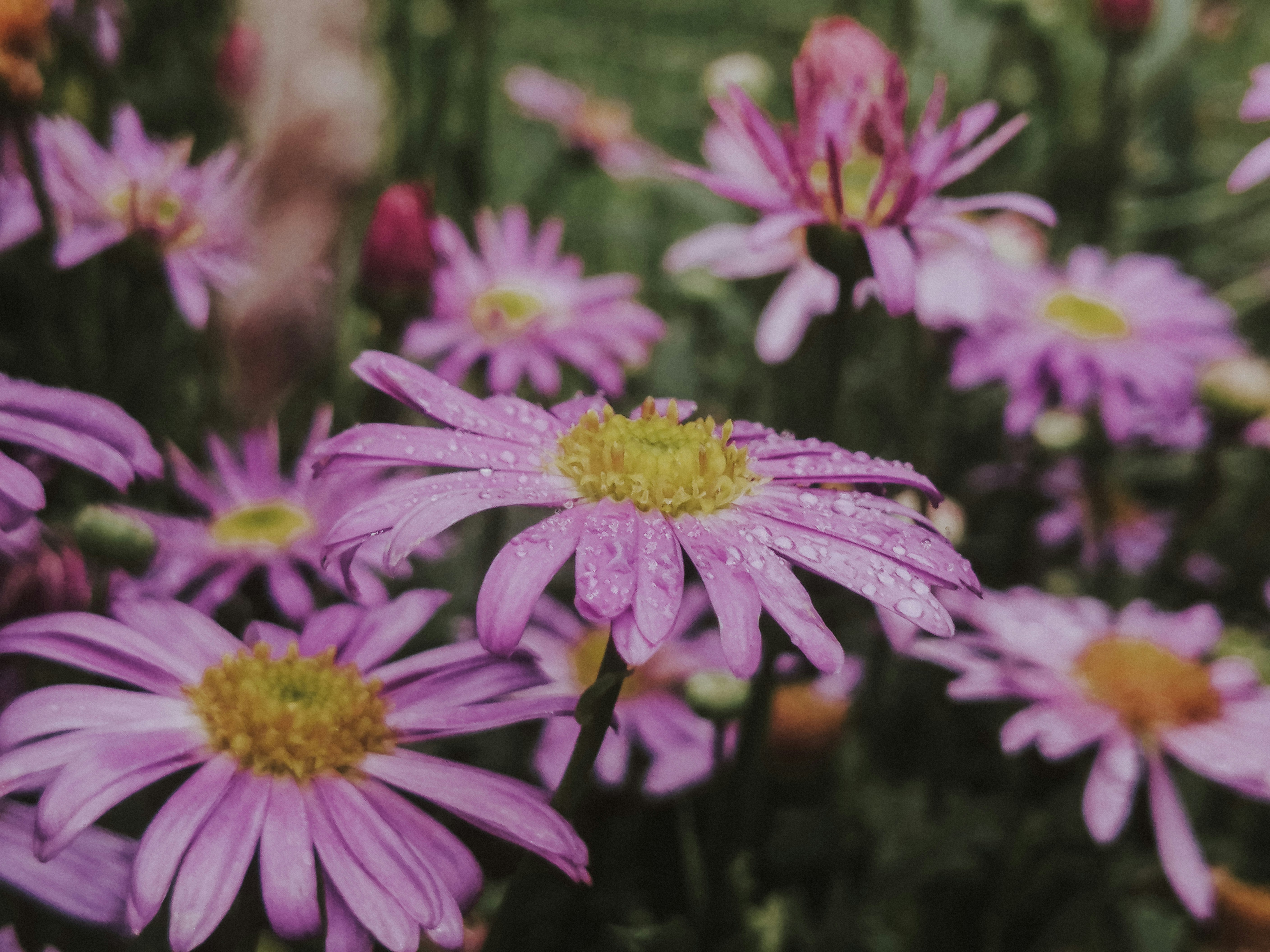 Photo by sonflower_23