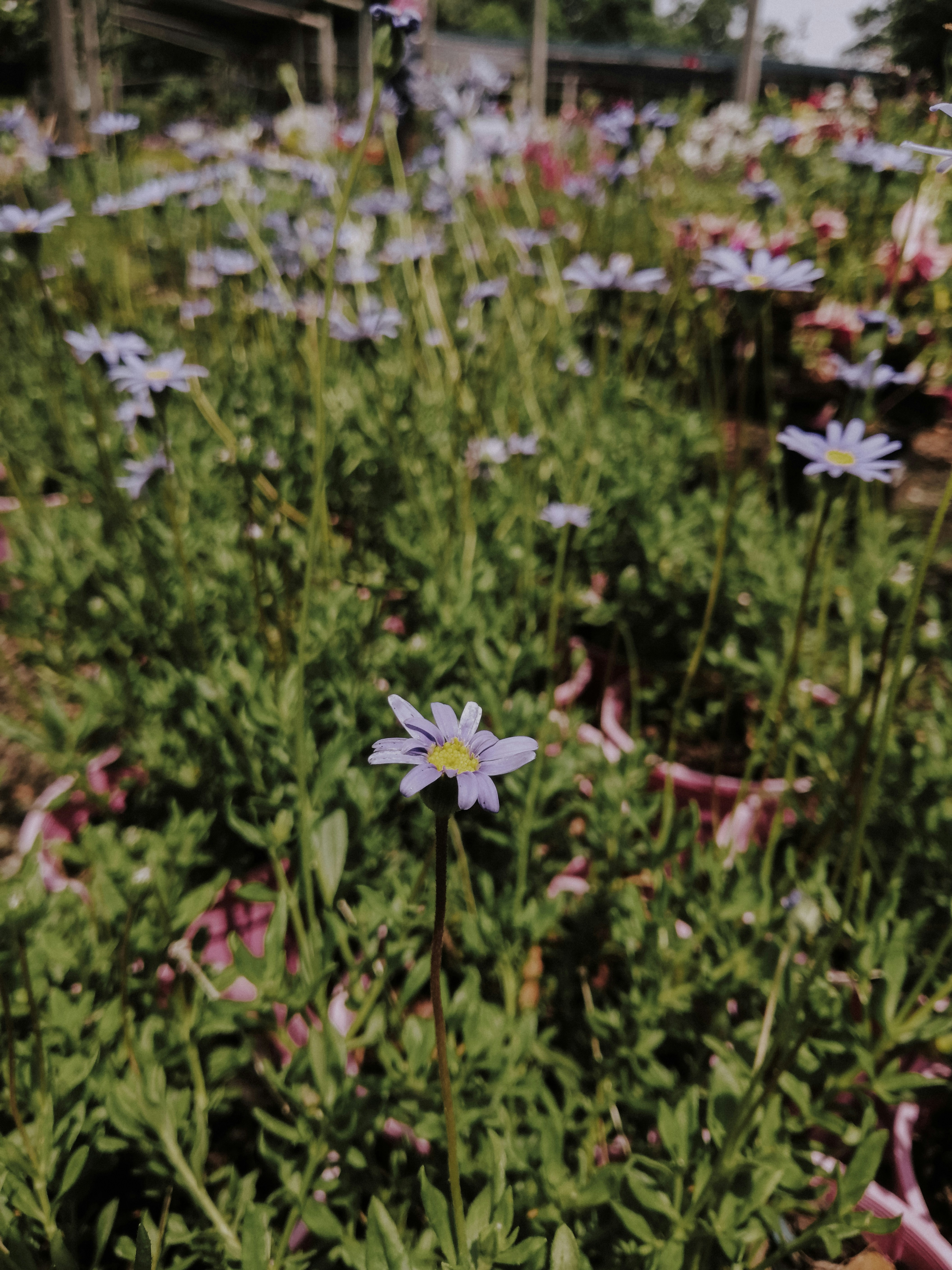 Photo by sonflower_23