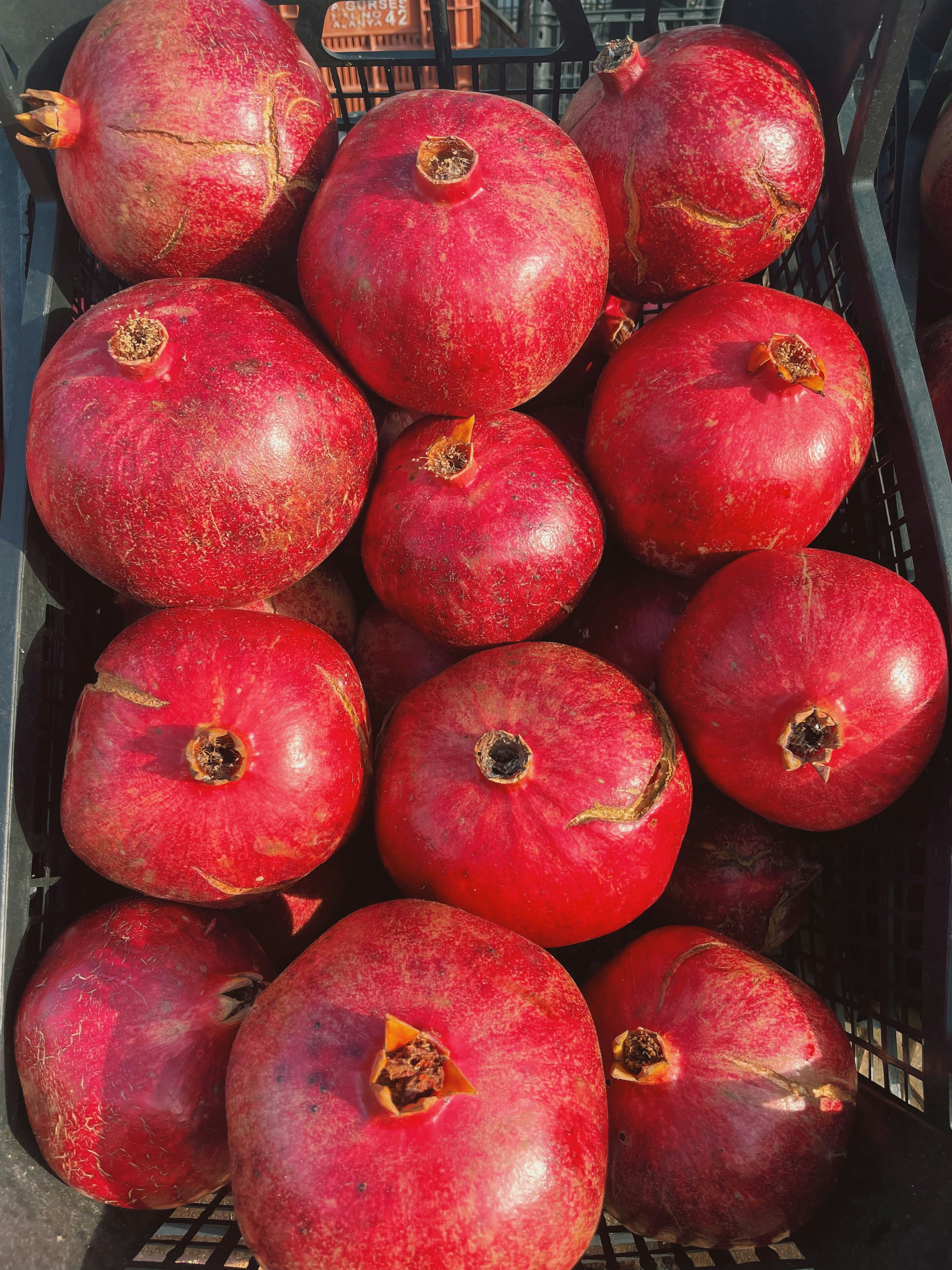 sekeranjang apel merah