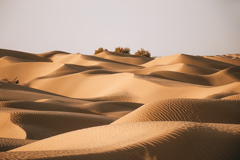 a large desert landscape
