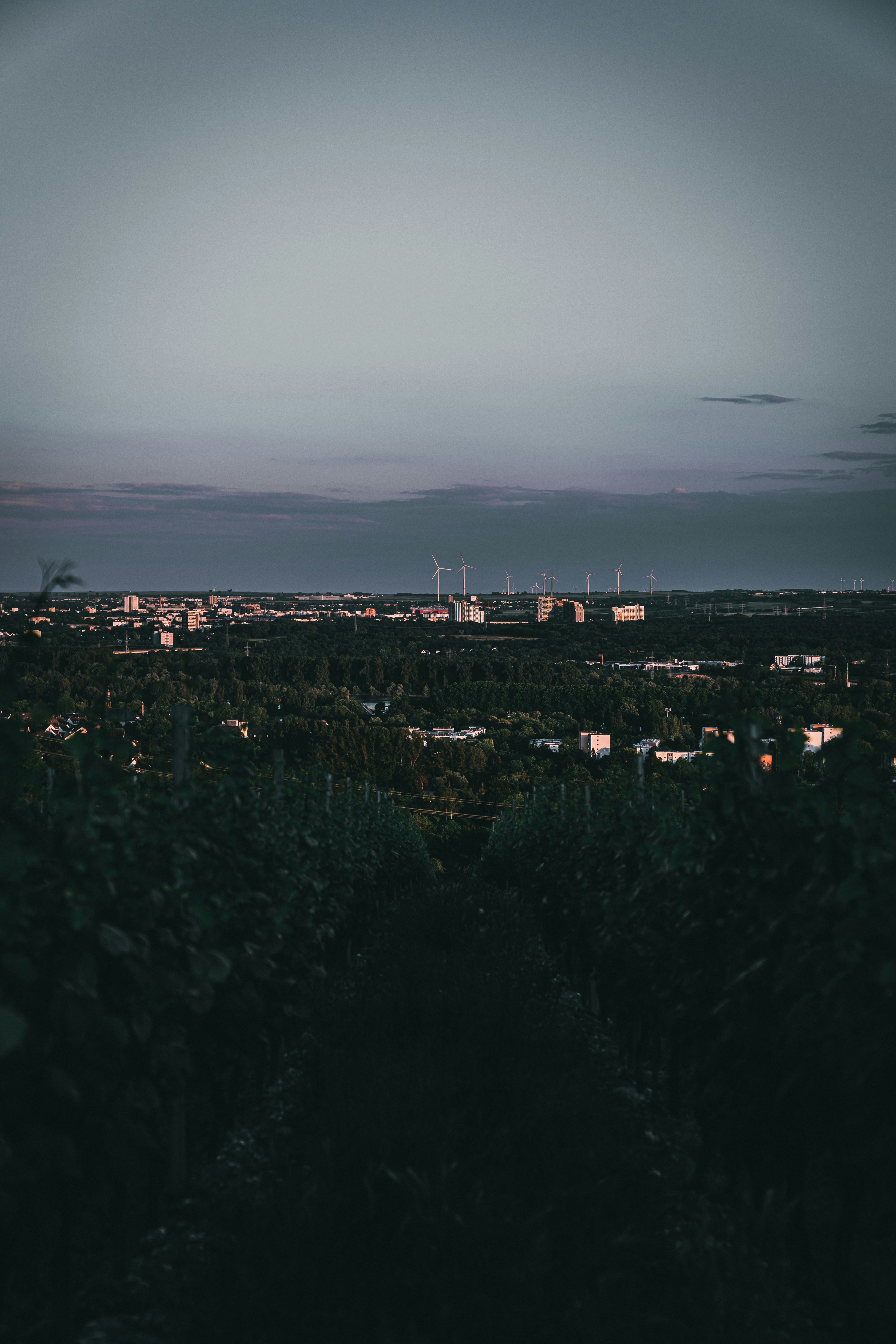 Photo by sonysnaper