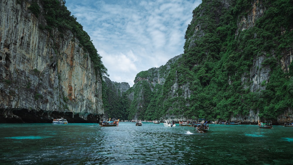 a body of water with boats and trees around it