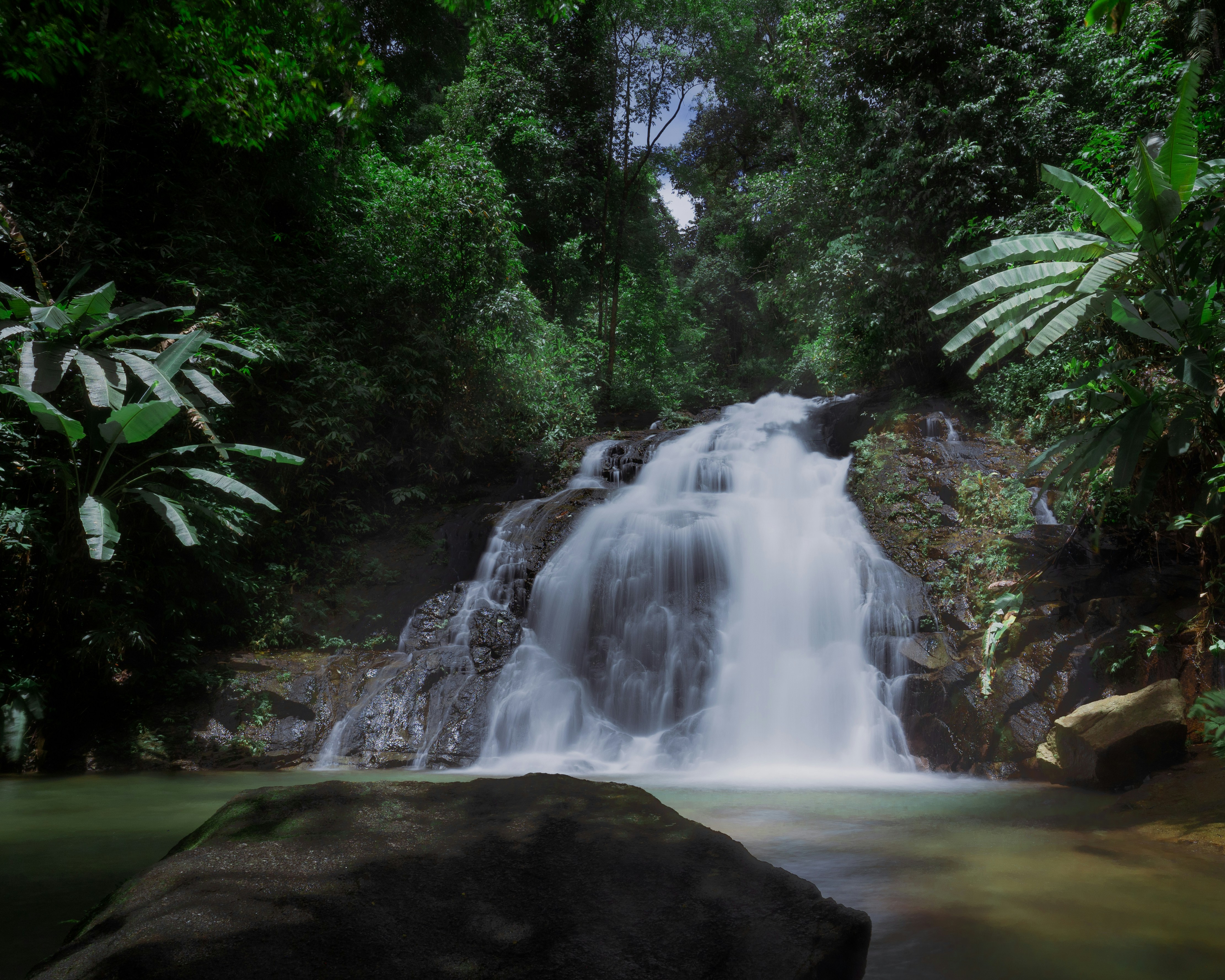 a waterfall in a forest