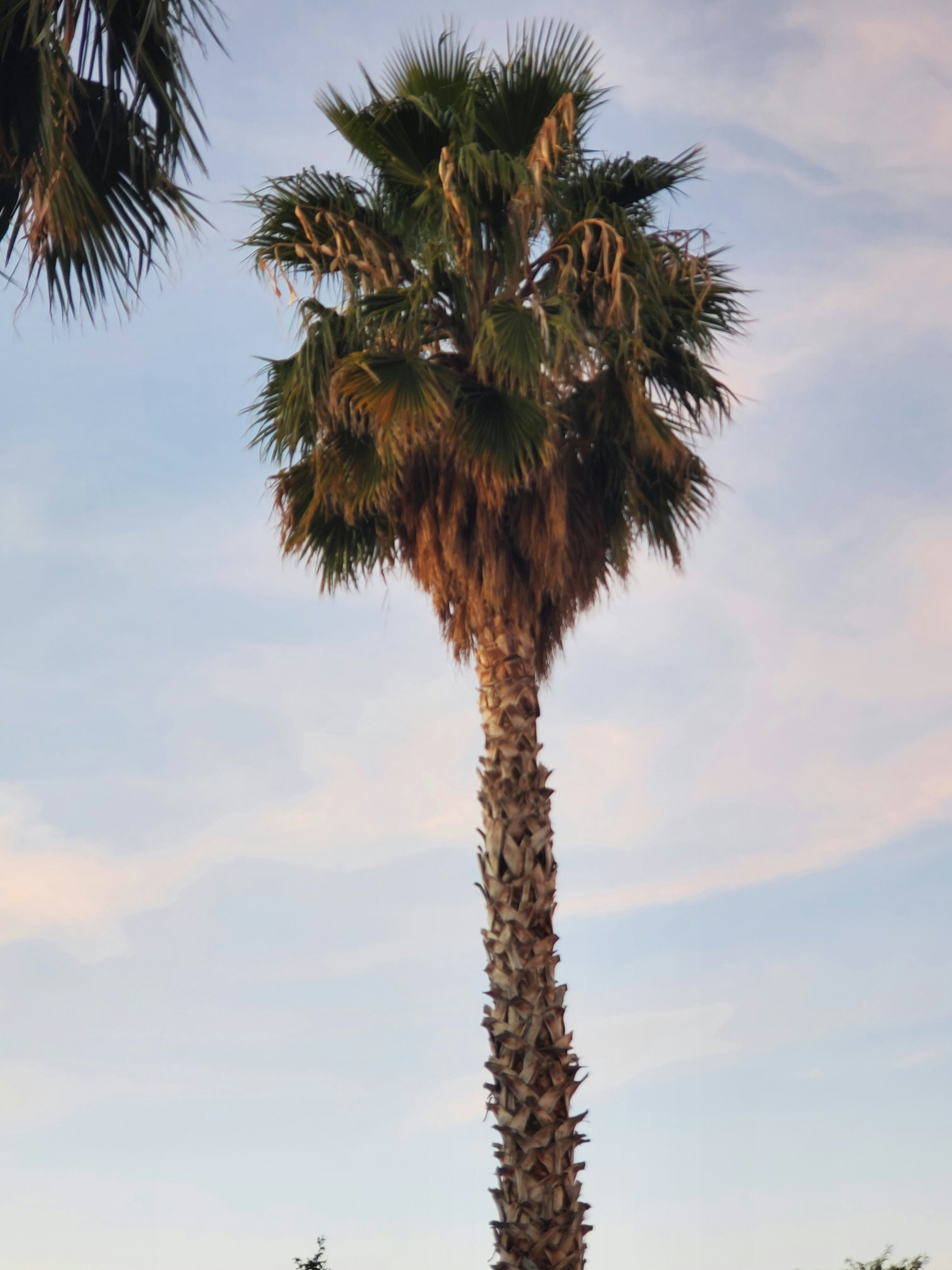 Photo by illpraiseyou