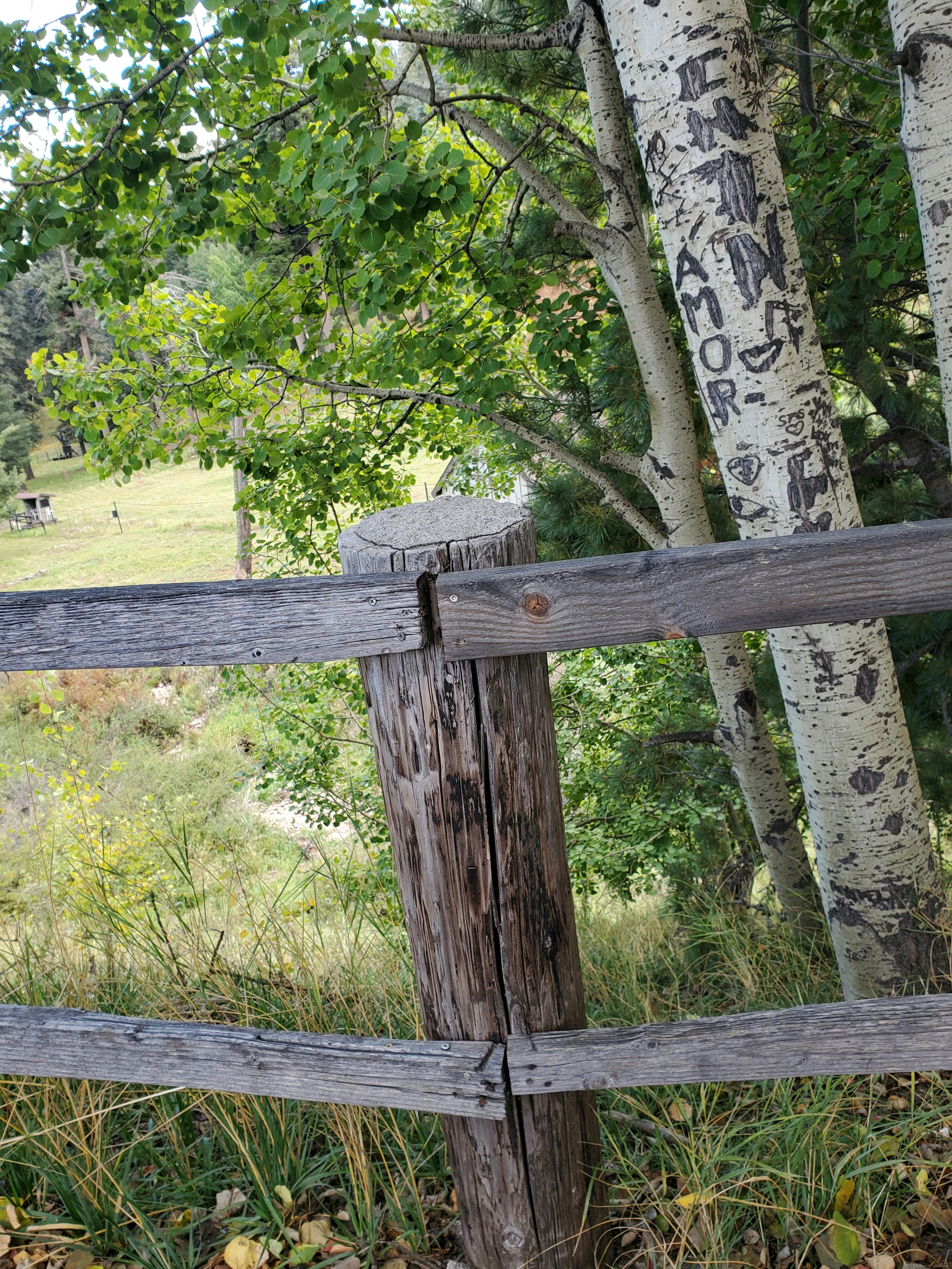 Photo by illpraiseyou