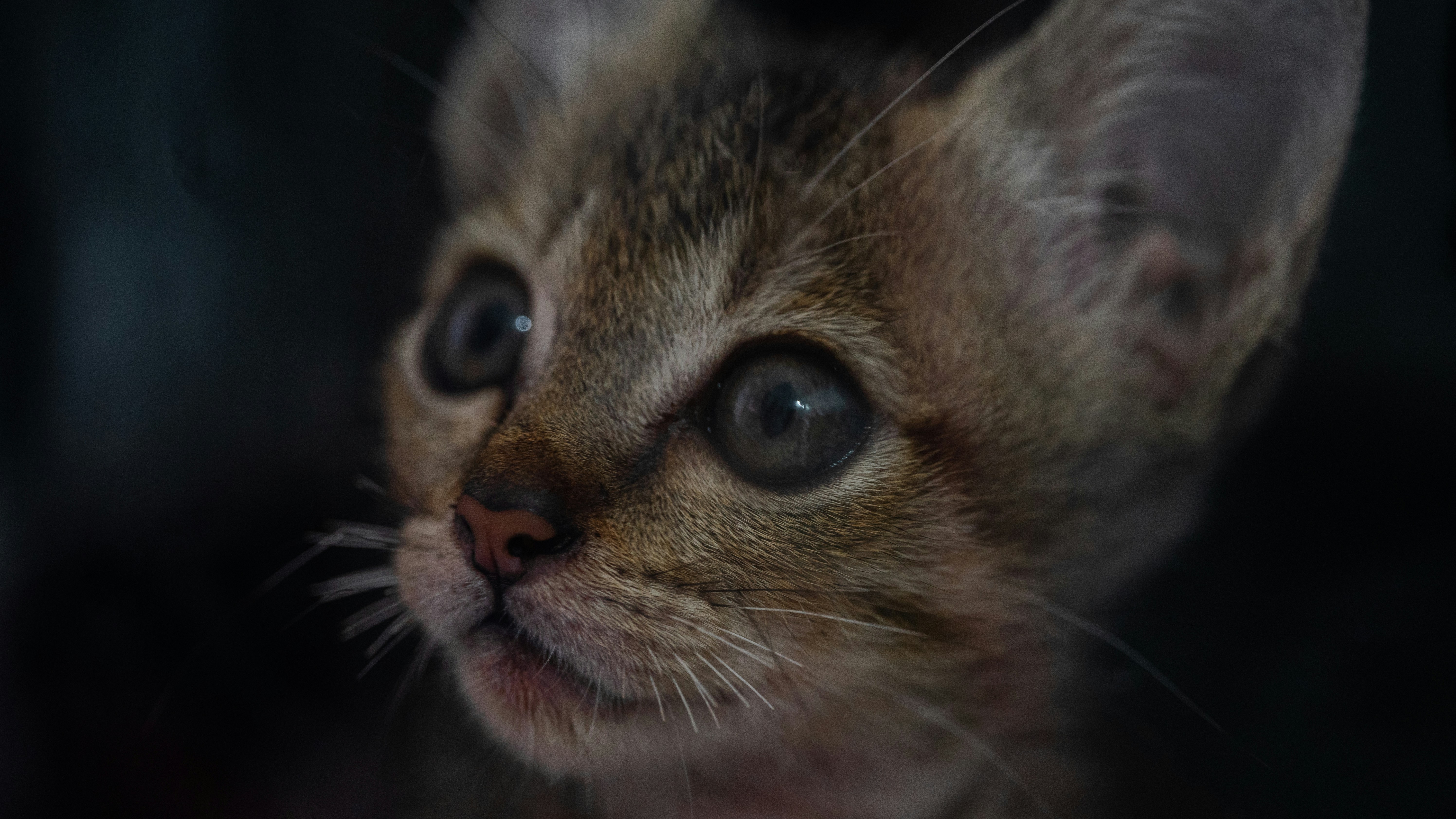 Photo by jensdedecker