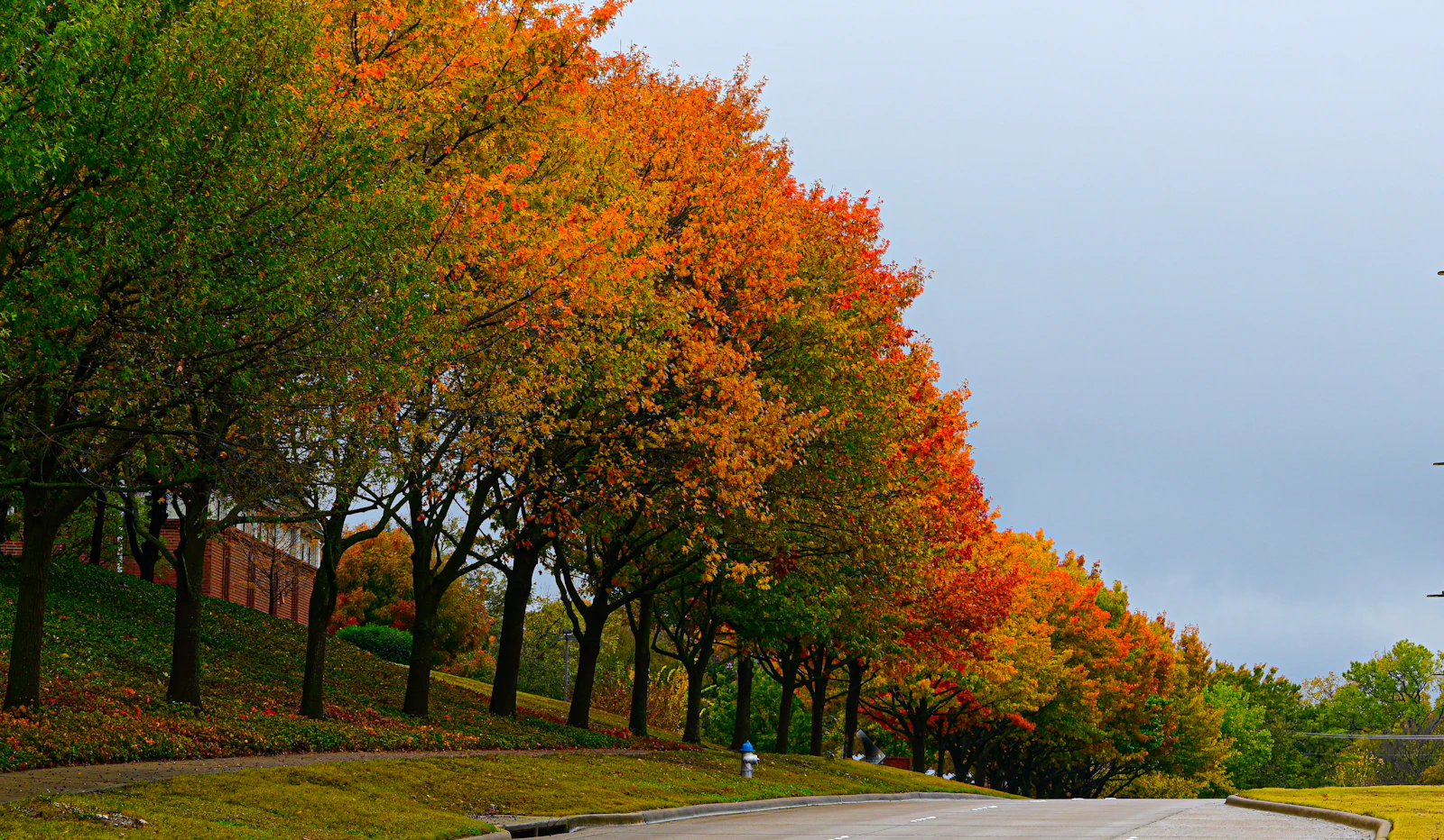 5 Signs Fall Has Arrived in Nevada County for Buyers and Sellers