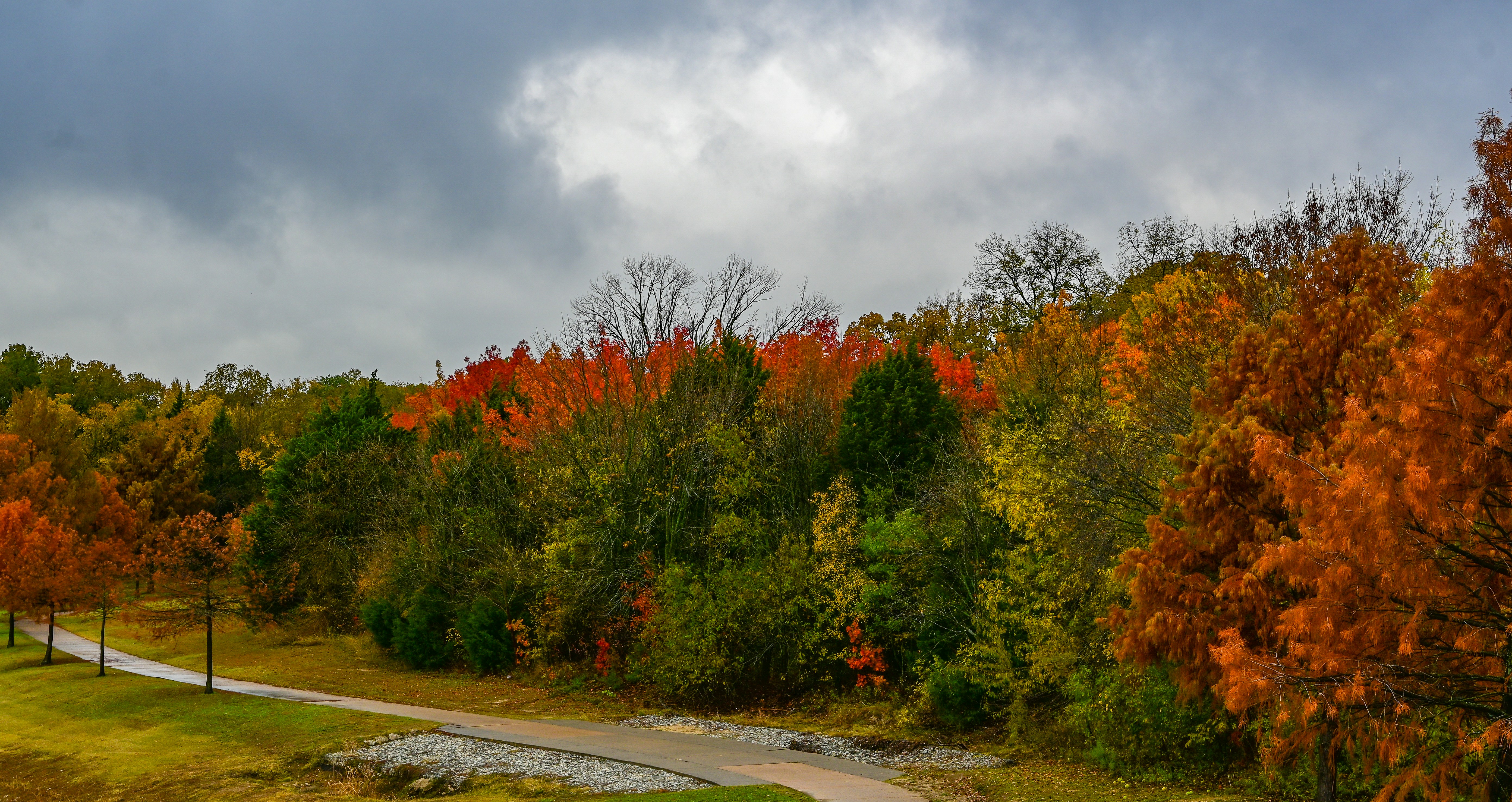 a road with trees on the side