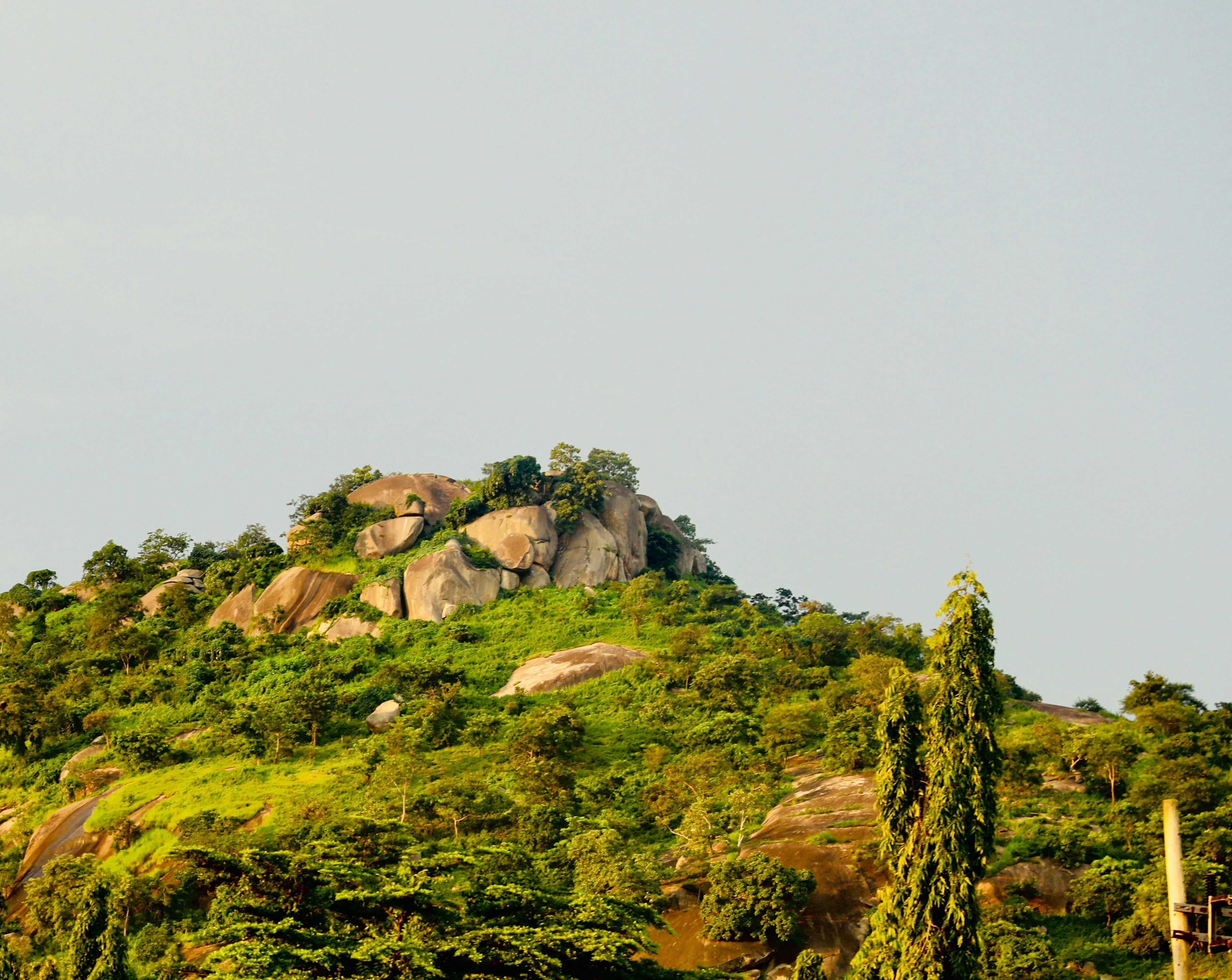 João Vieira Island, Guiné-Bissau - Things to Do in João Vieira Island