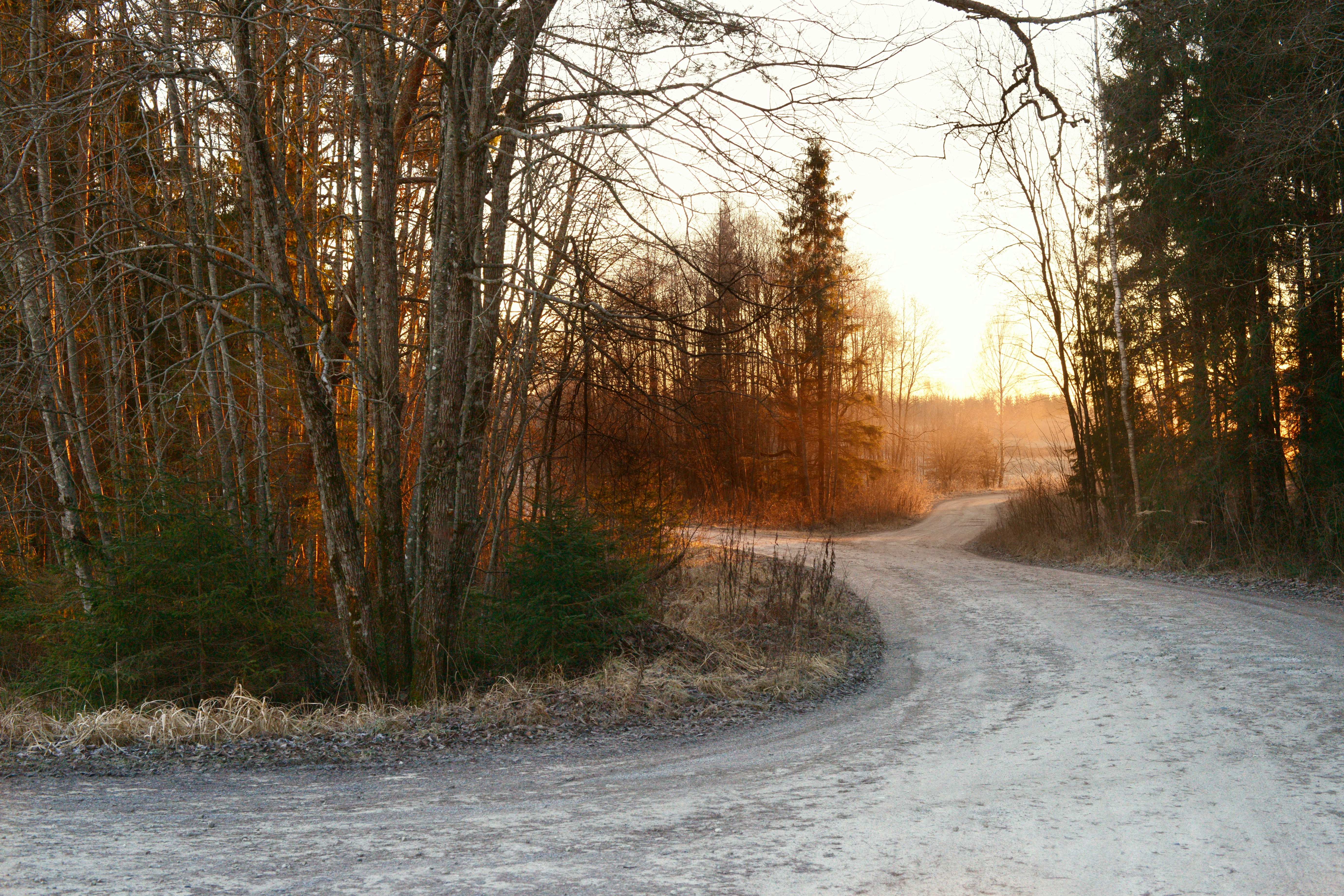 Photo by anitaaustvika