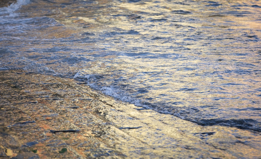 a body of water with rocks and sand