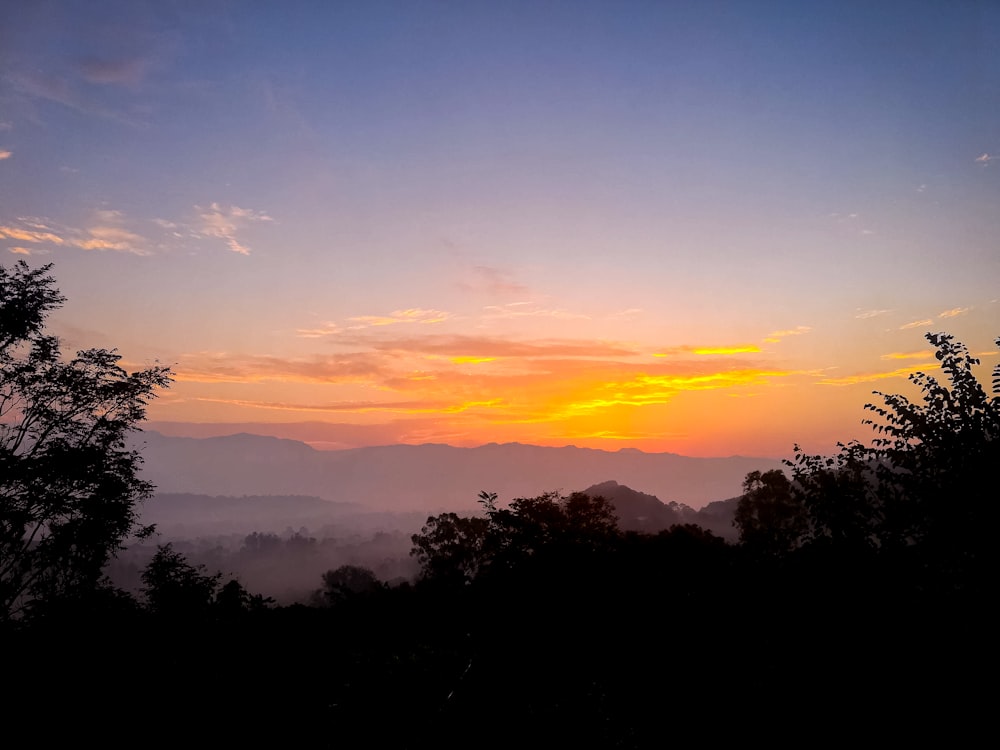 a sunset over trees