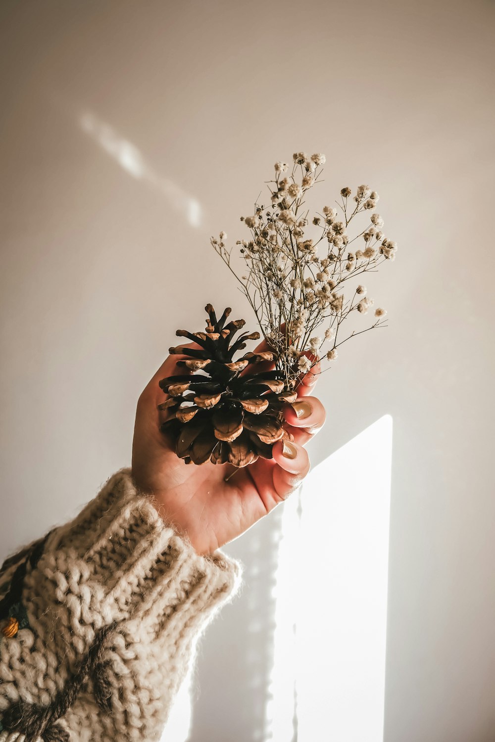 a hand holding a pinecone