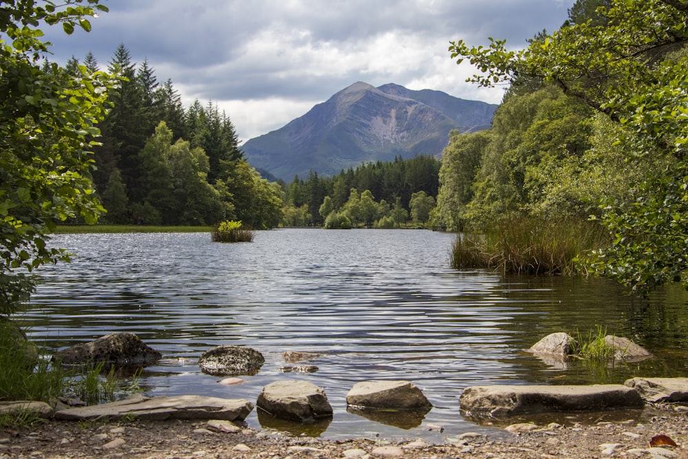 a lake surrounded by trees and mountains