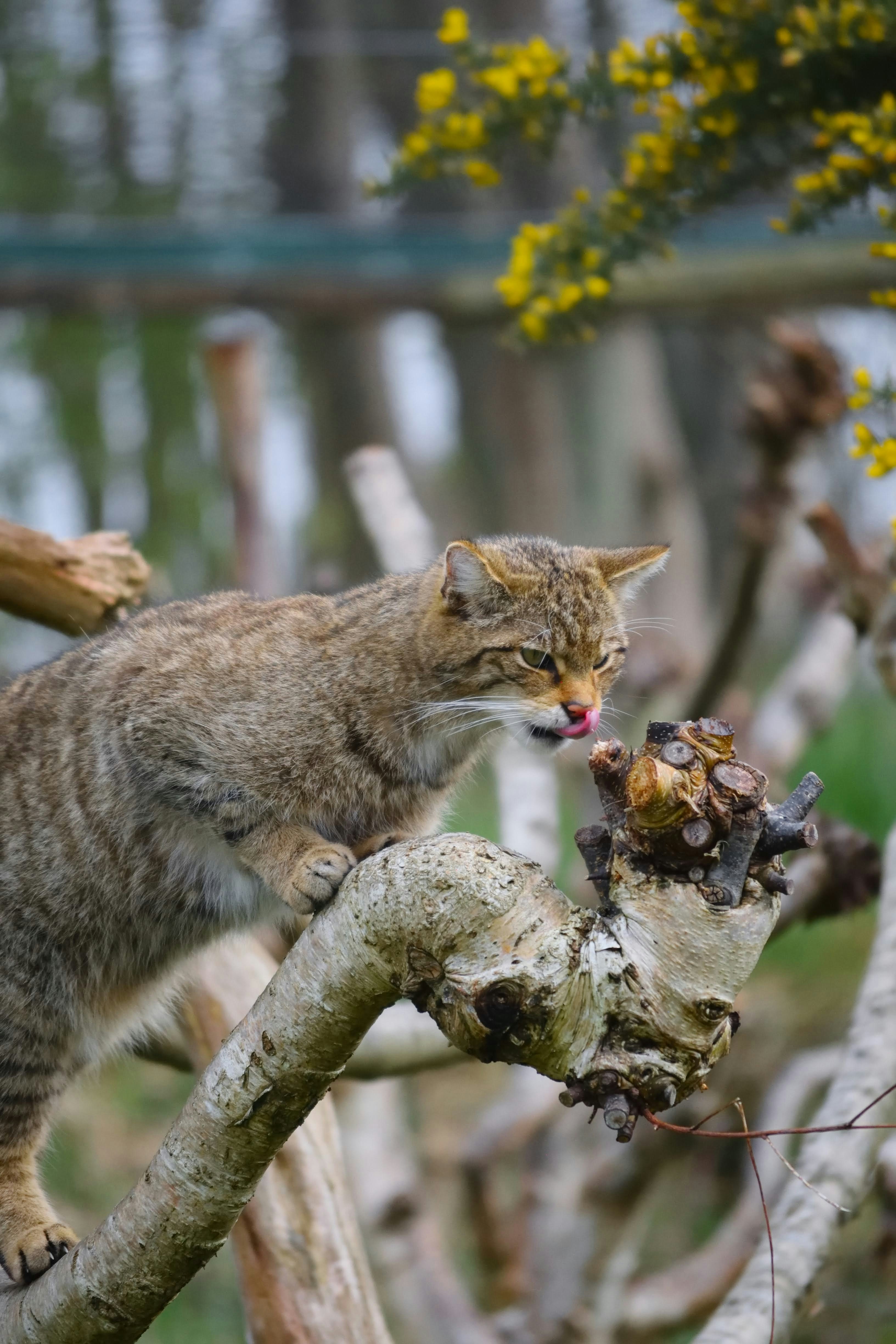 Photo by tobyjay2010