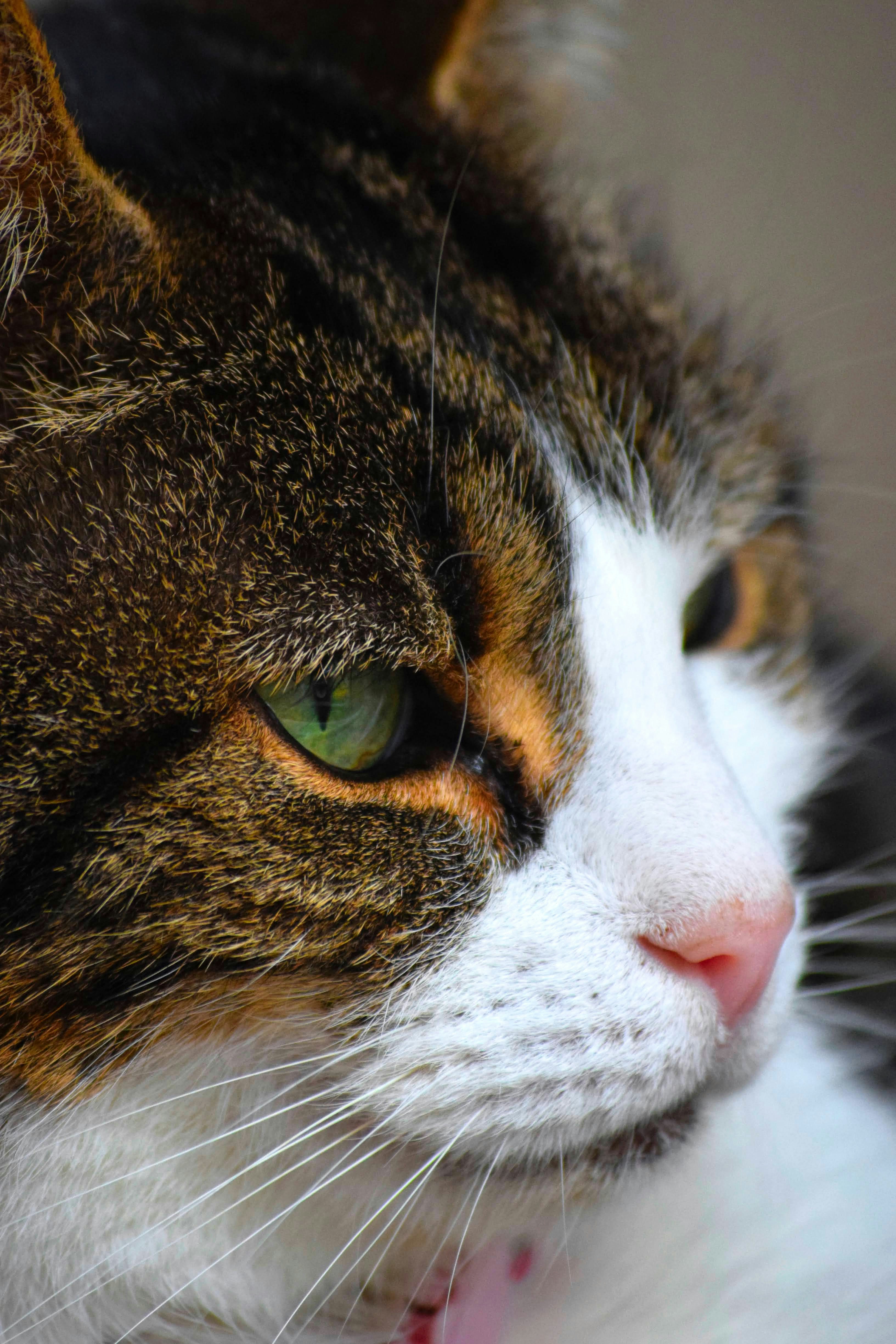 Photo by tobyjay2010