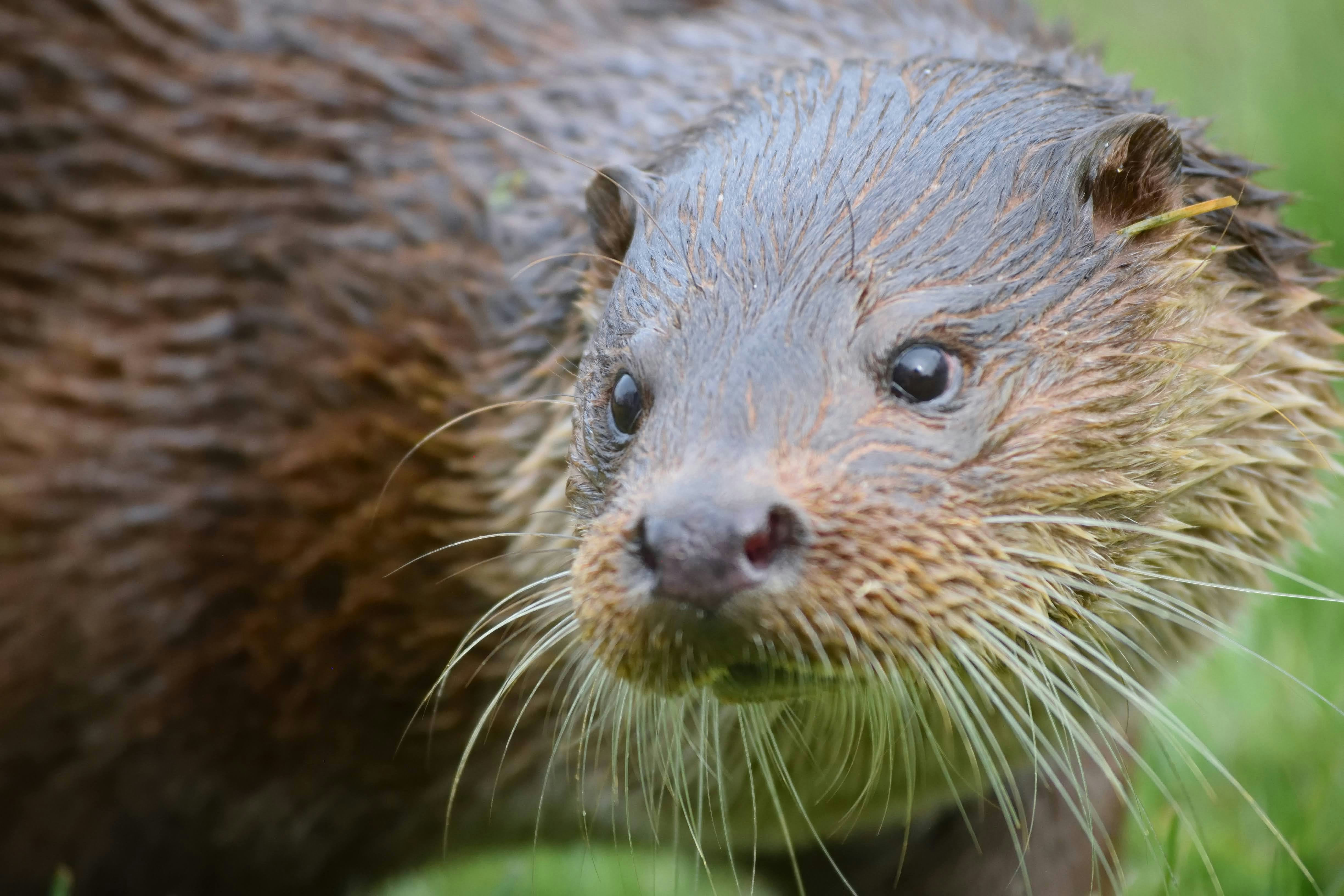 Photo by tobyjay2010