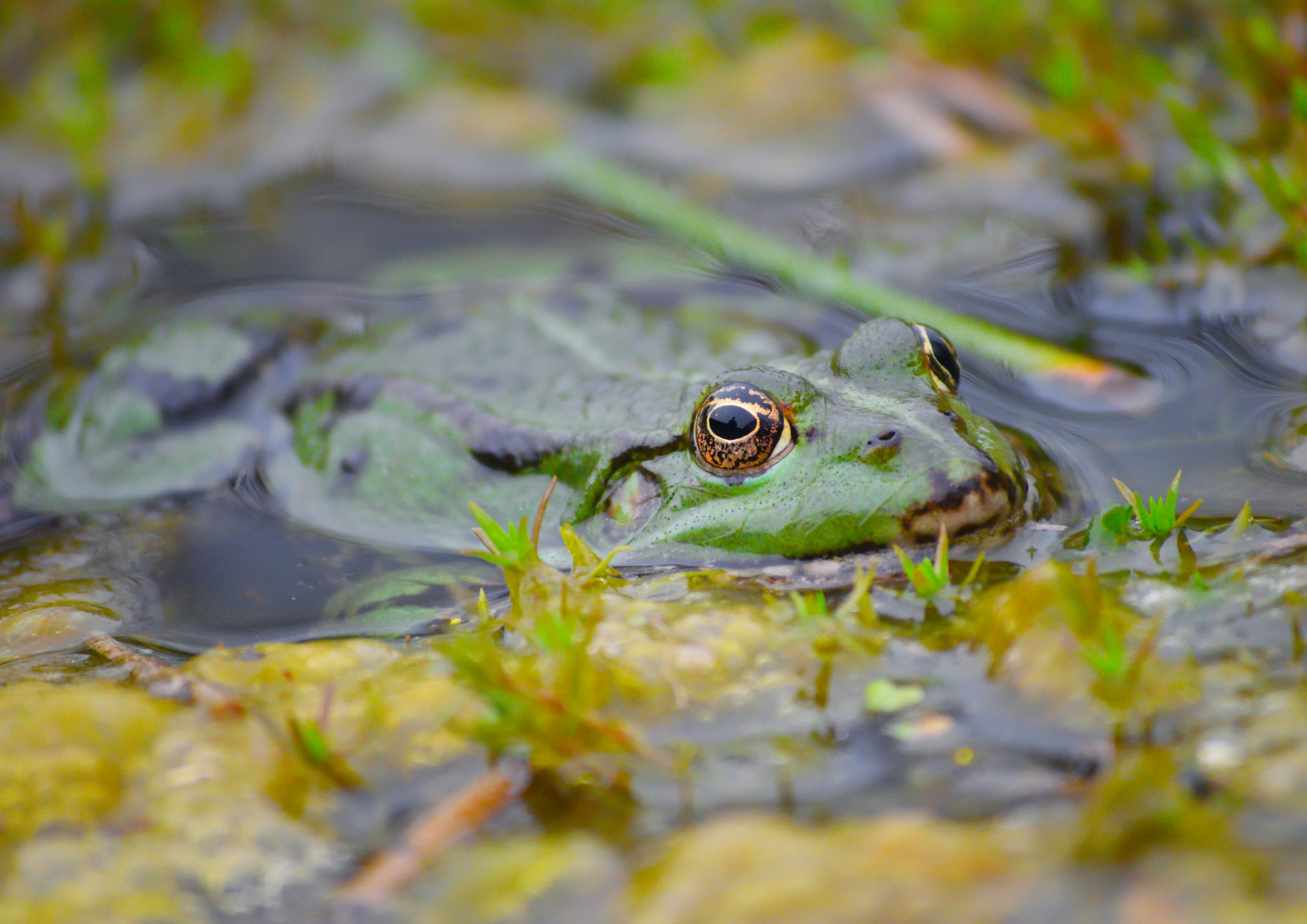 Photo by tobyjay2010