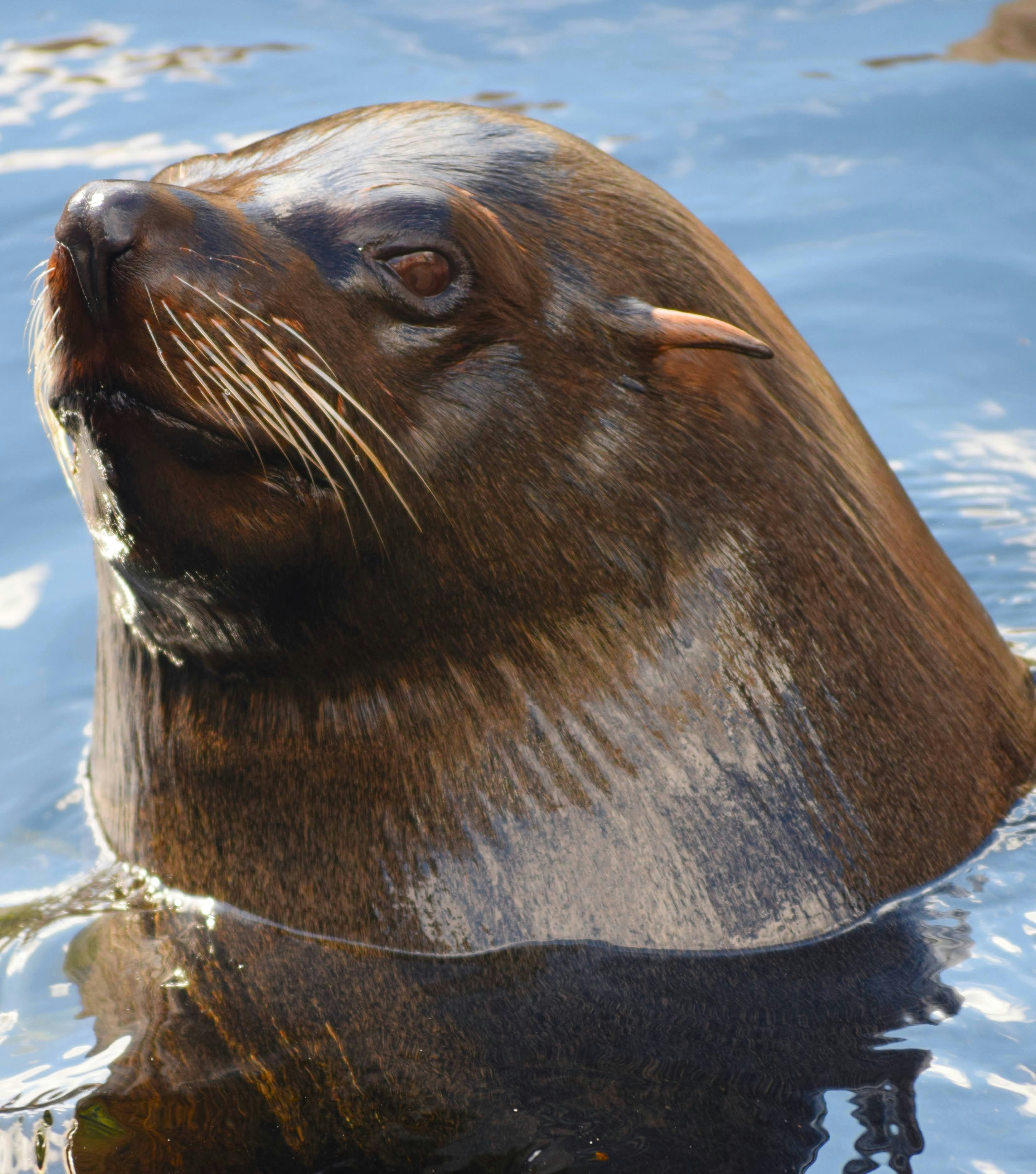 Photo by tobyjay2010